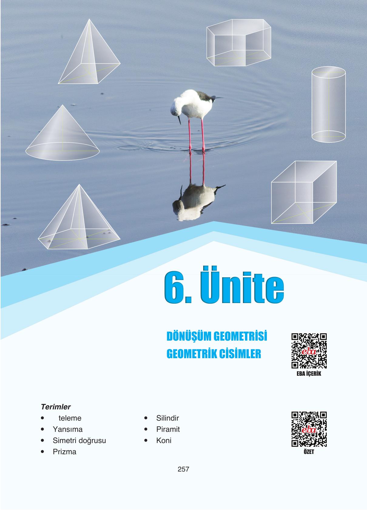 8. Sınıf Ada Yayıncılık Matematik Ders Kitabı Sayfa 257 Cevapları