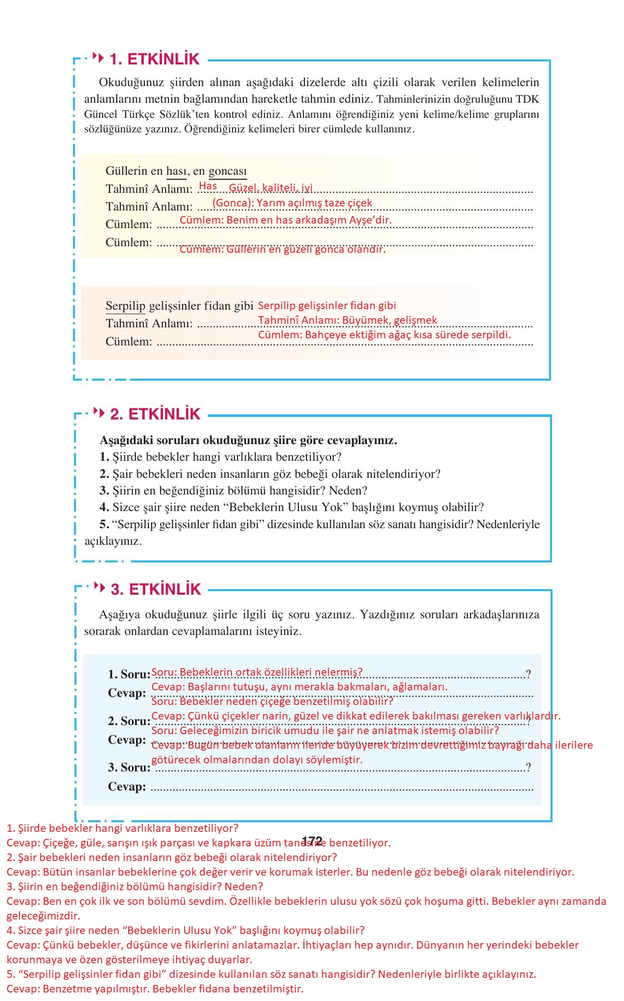 8. Sınıf Hecce Yayıncılık Türkçe Ders Kitabı Sayfa 172 Cevapları