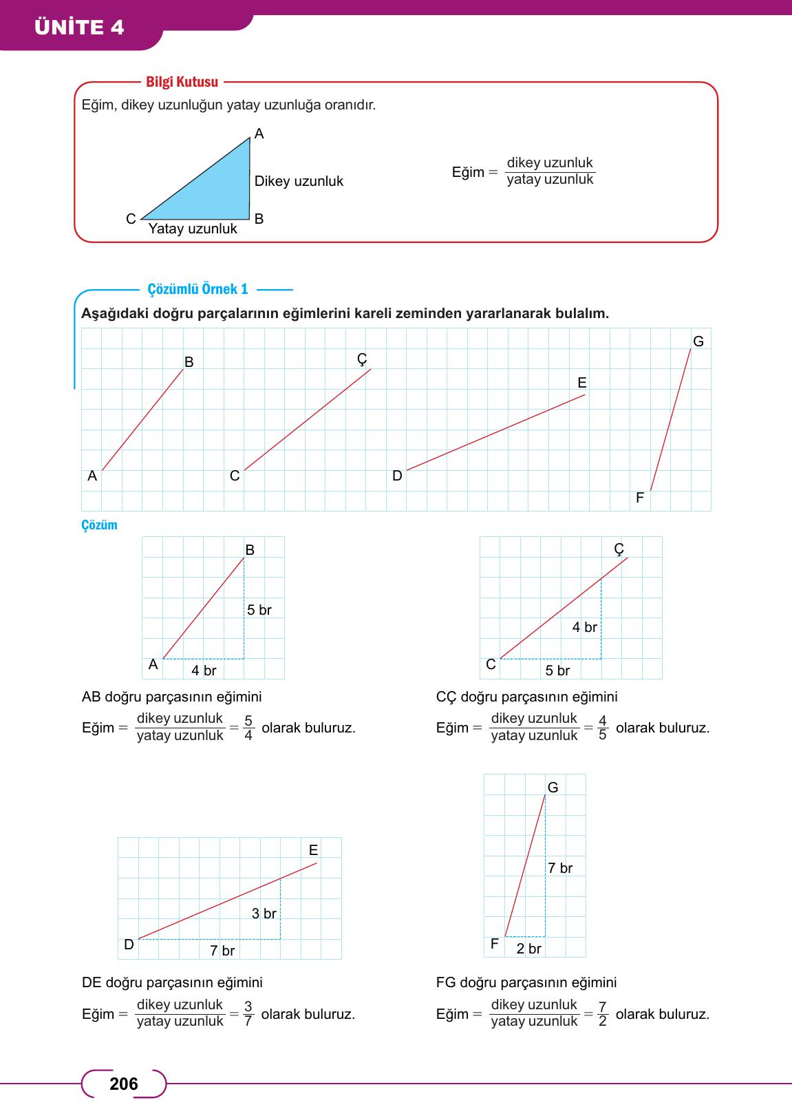 8. Sınıf Meb Yayınları Matematik Ders Kitabı Sayfa 206 Cevapları