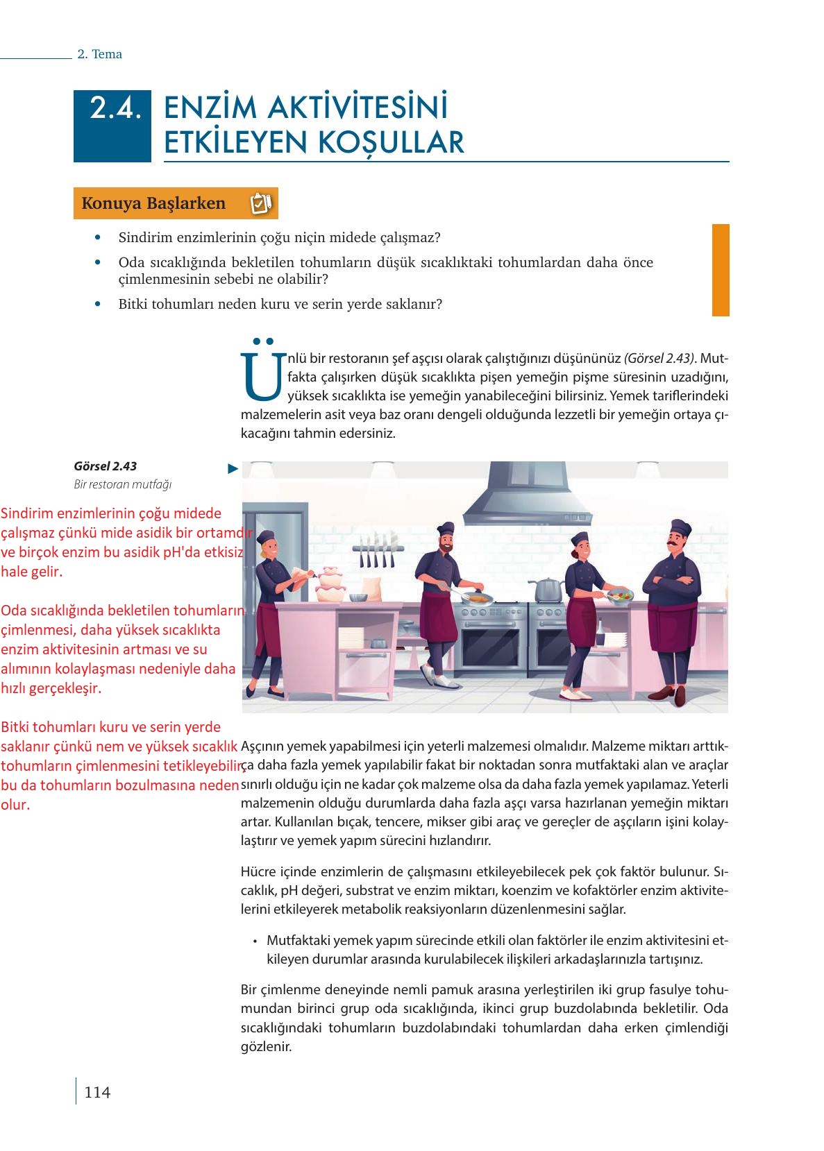 9. Sınıf Meb Yayınları Biyoloji Ders Kitabı Sayfa 114 Cevapları