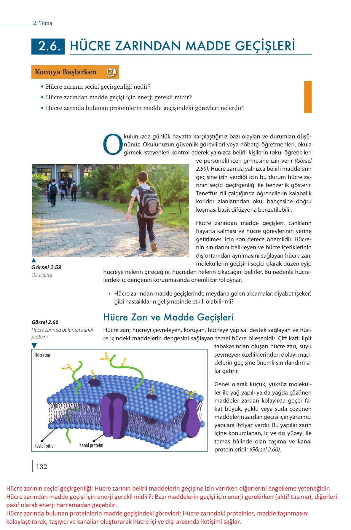 9. Sınıf Meb Yayınları Biyoloji Ders Kitabı Sayfa 132 Cevapları