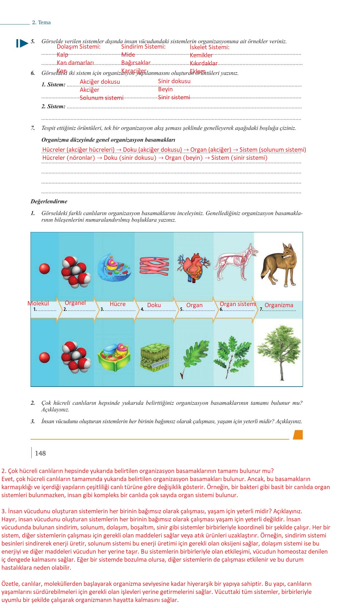 9. Sınıf Meb Yayınları Biyoloji Ders Kitabı Sayfa 148 Cevapları 9. Sınıf Meb Yayınları Biyoloji Ders Kitabı Sayfa 148 Cevapları