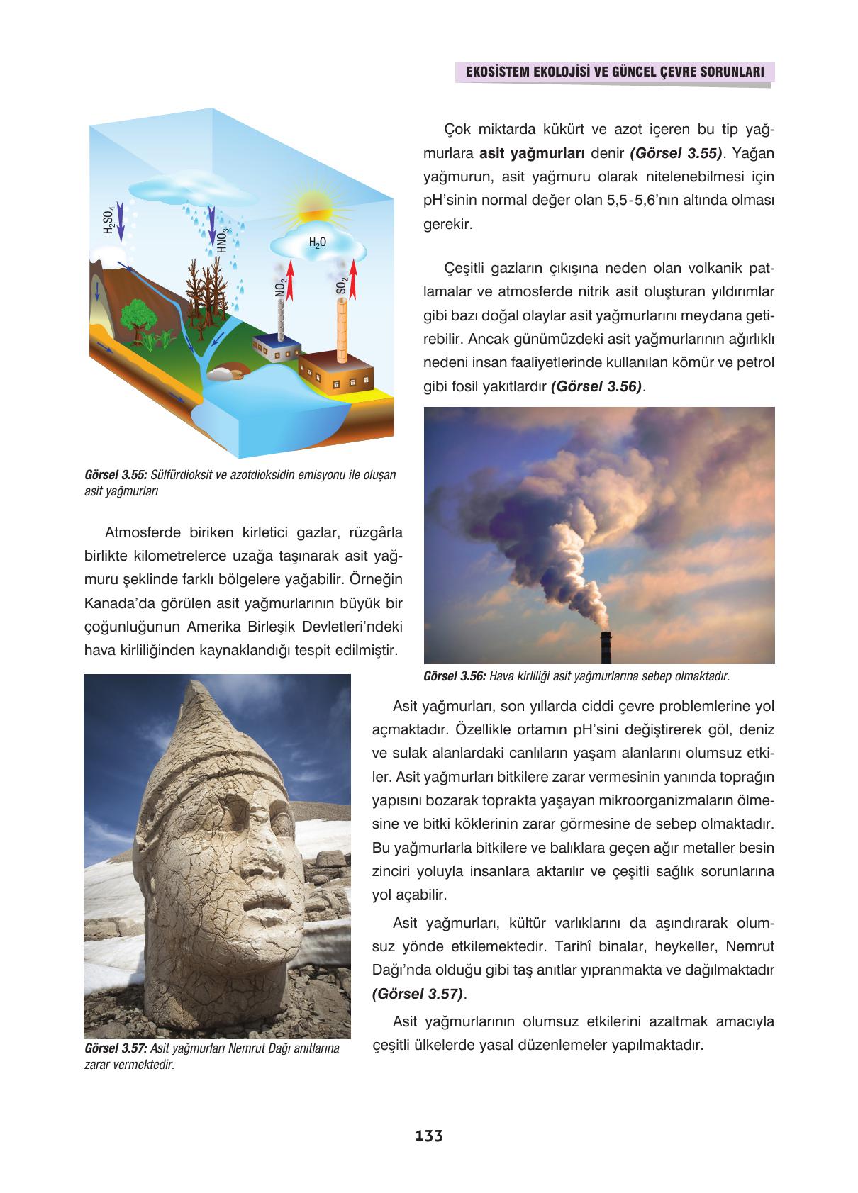 10. Sınıf Dörtel Yayıncılık Biyoloji Ders Kitabı Sayfa 133 Cevapları