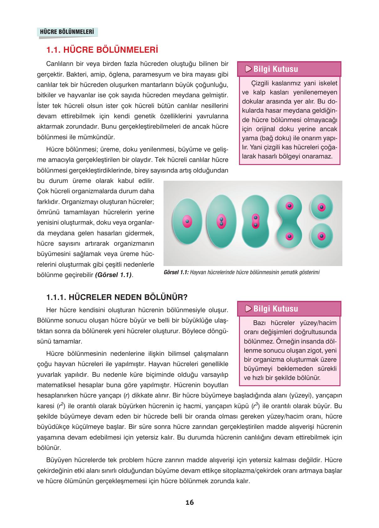 10. Sınıf Dörtel Yayıncılık Biyoloji Ders Kitabı Sayfa 16 Cevapları