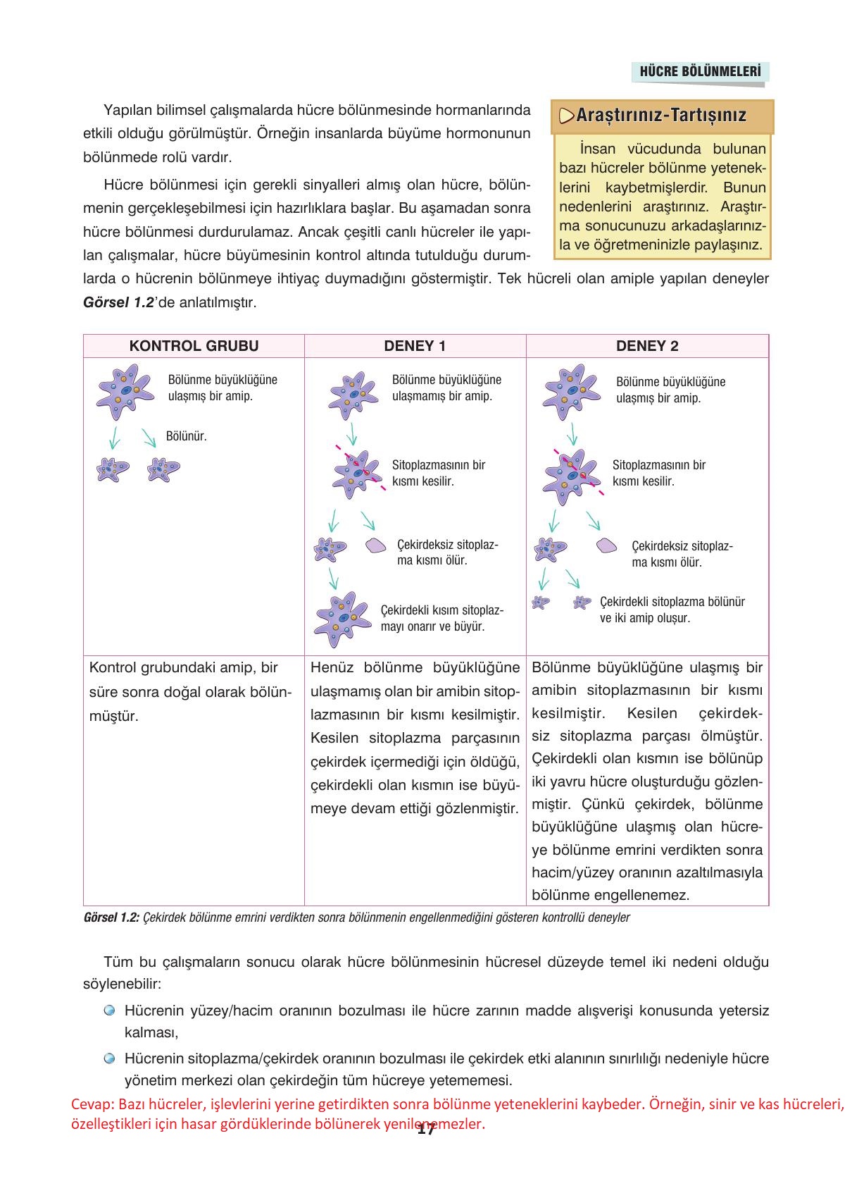 10. Sınıf Dörtel Yayıncılık Biyoloji Ders Kitabı Sayfa 17 Cevapları