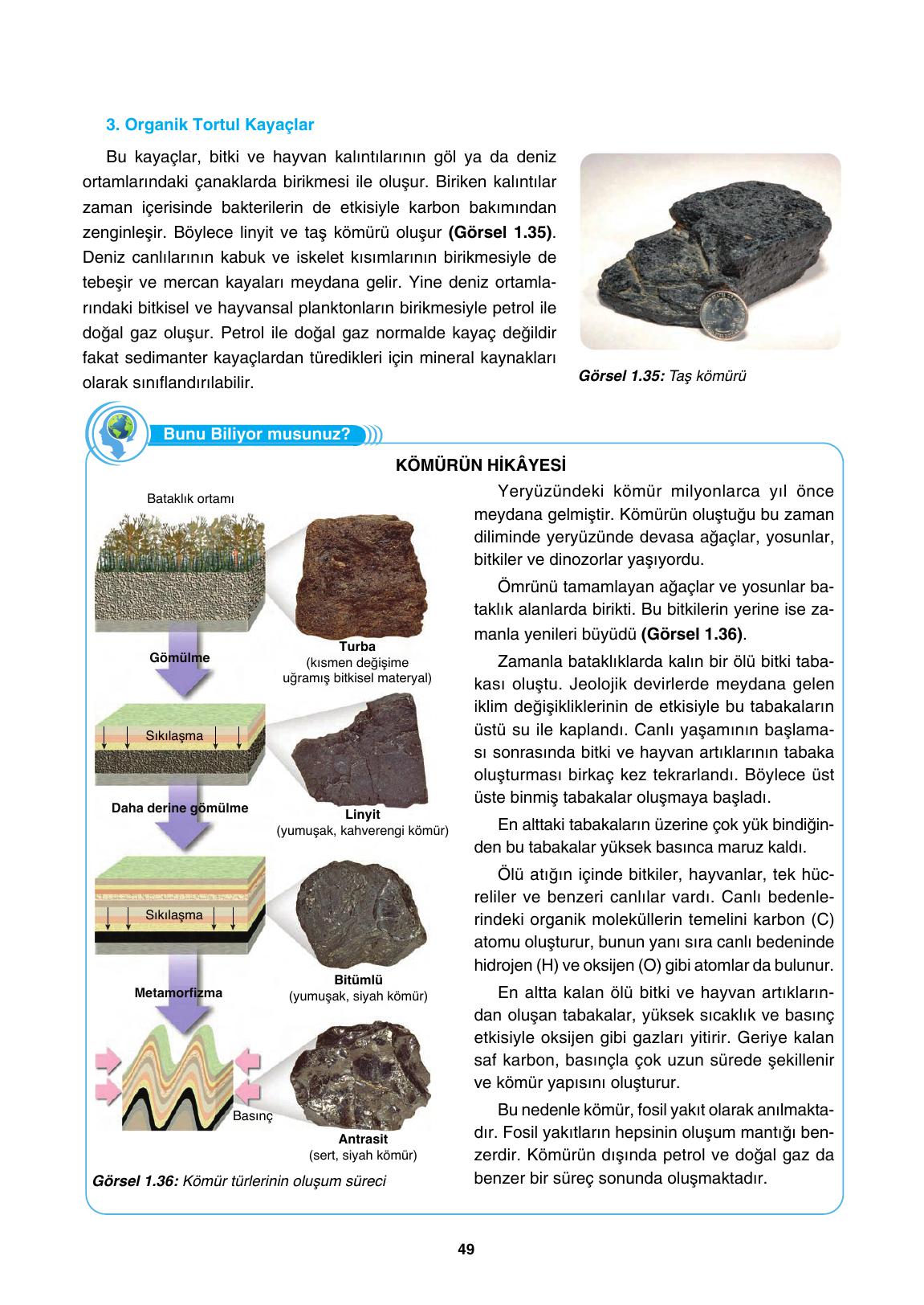 10. Sınıf Tutku Yayıncılık Coğrafya Ders Kitabı Sayfa 49 Cevapları