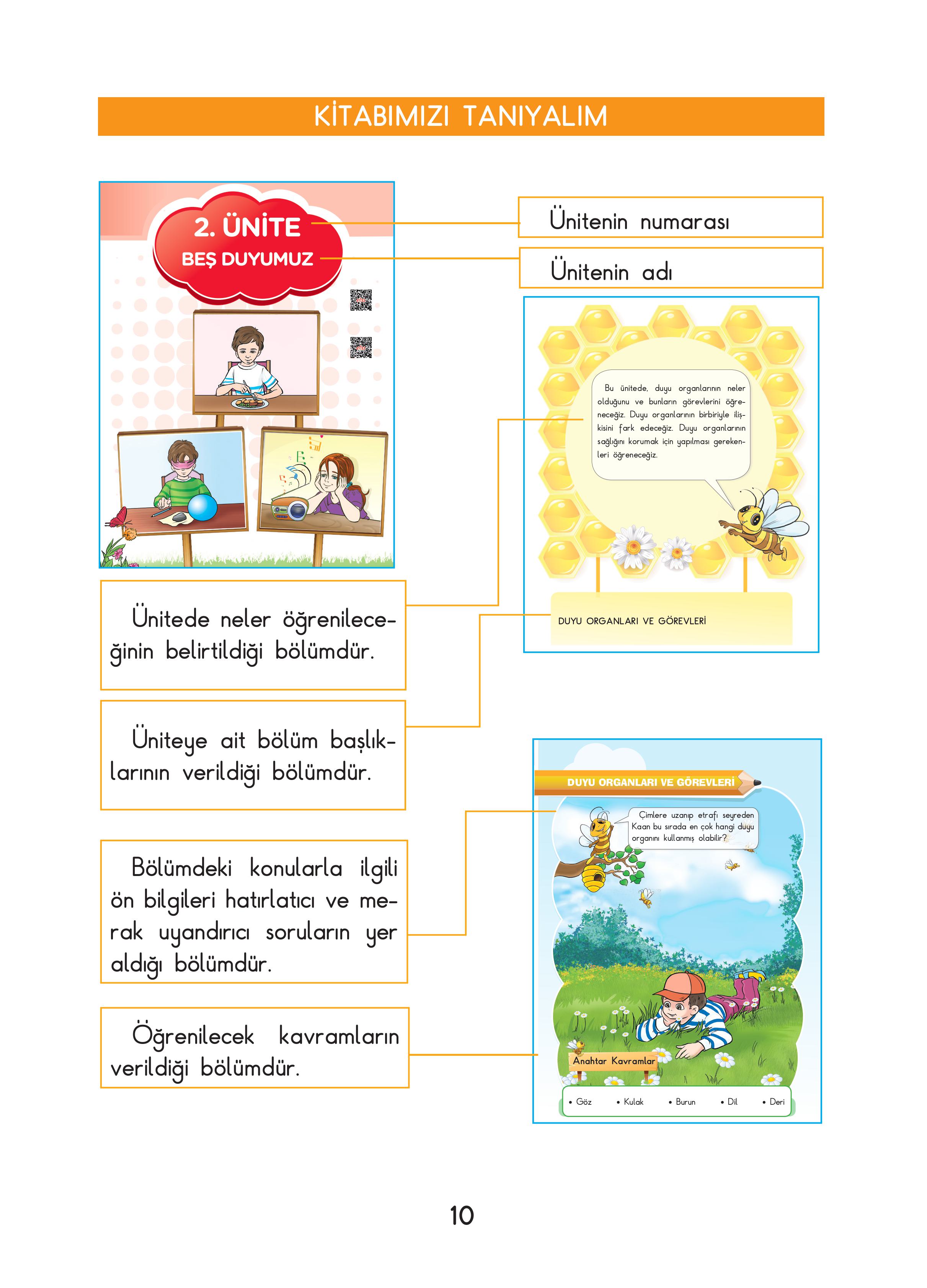 3. Sınıf Sdr Dikey Yayıncılık Fen Bilimleri Ders Kitabı Sayfa 10 Cevapları 3. Sınıf Sdr Dikey Yayıncılık Fen Bilimleri Ders Kitabı Sayfa 10 Cevapları