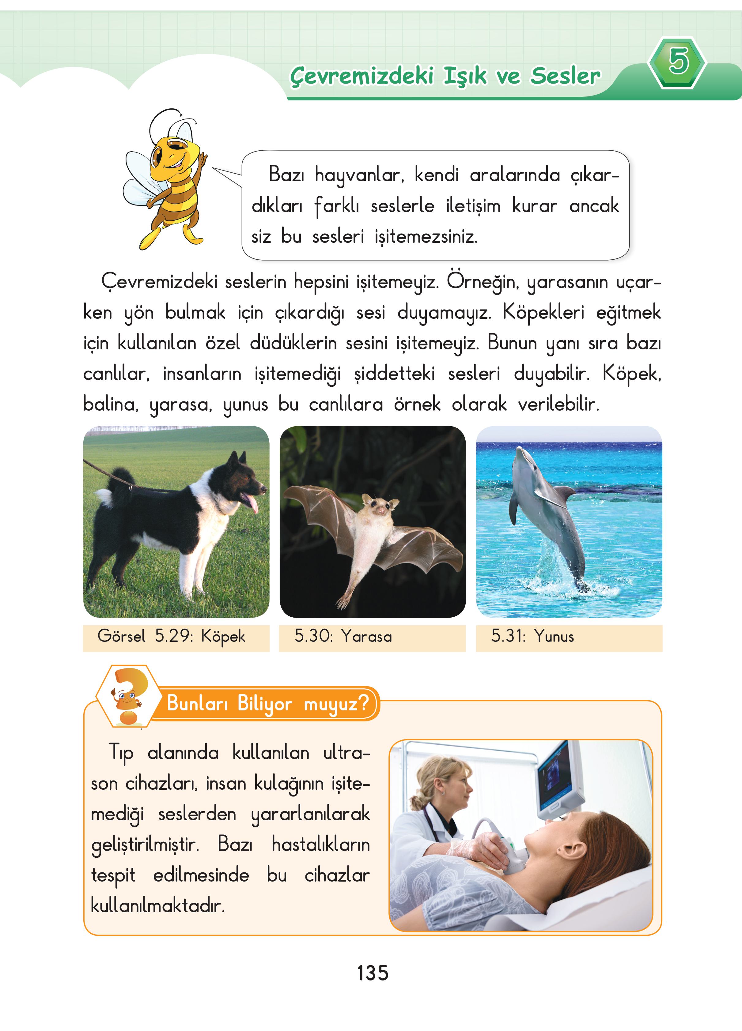 3. Sınıf Sdr Dikey Yayıncılık Fen Bilimleri Ders Kitabı Sayfa 135 Cevapları 3. Sınıf Sdr Dikey Yayıncılık Fen Bilimleri Ders Kitabı Sayfa 135 Cevapları