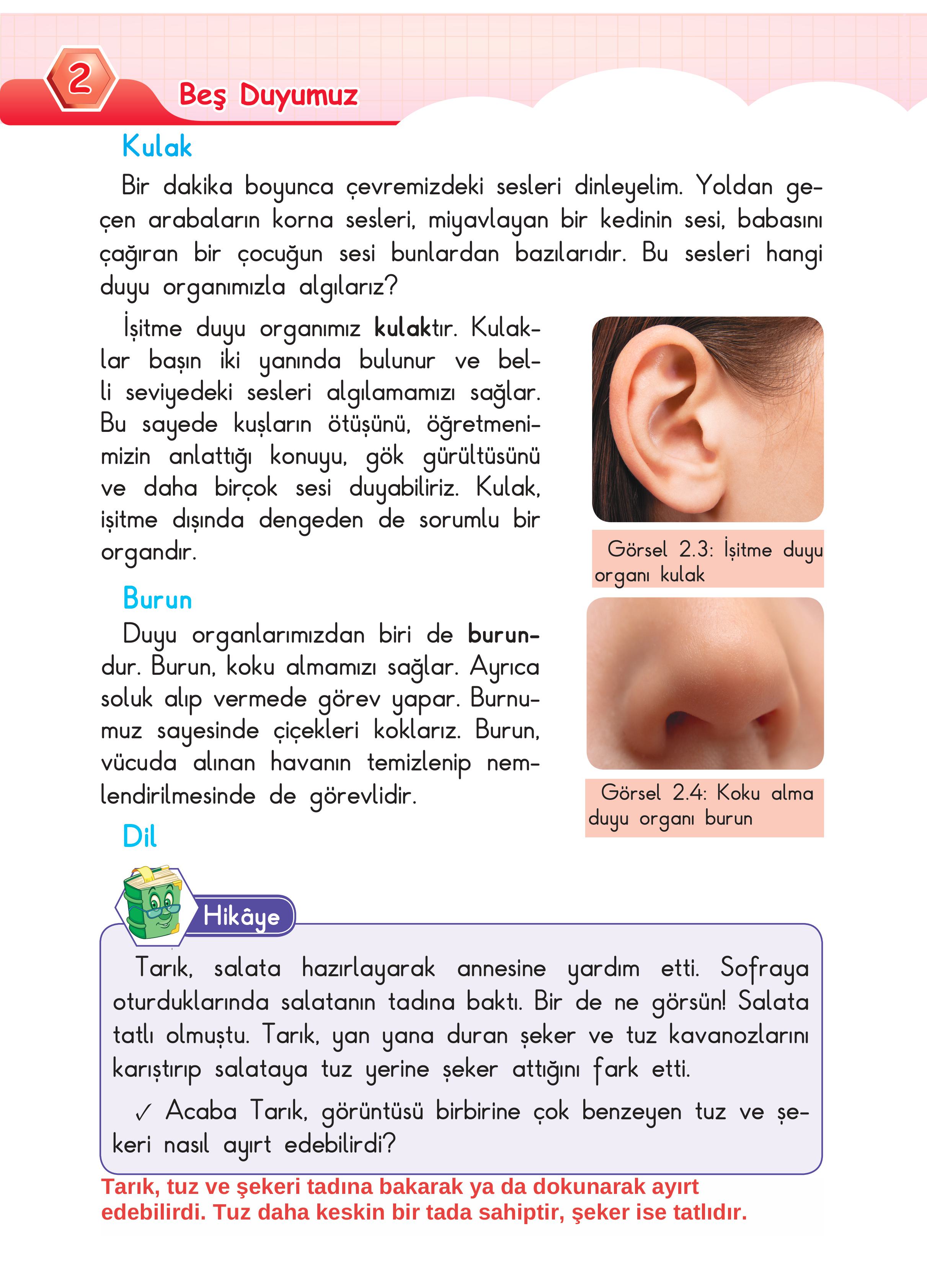 3. Sınıf Sdr Dikey Yayıncılık Fen Bilimleri Ders Kitabı Sayfa 40 Cevapları 3. Sınıf Sdr Dikey Yayıncılık Fen Bilimleri Ders Kitabı Sayfa 40 Cevapları
