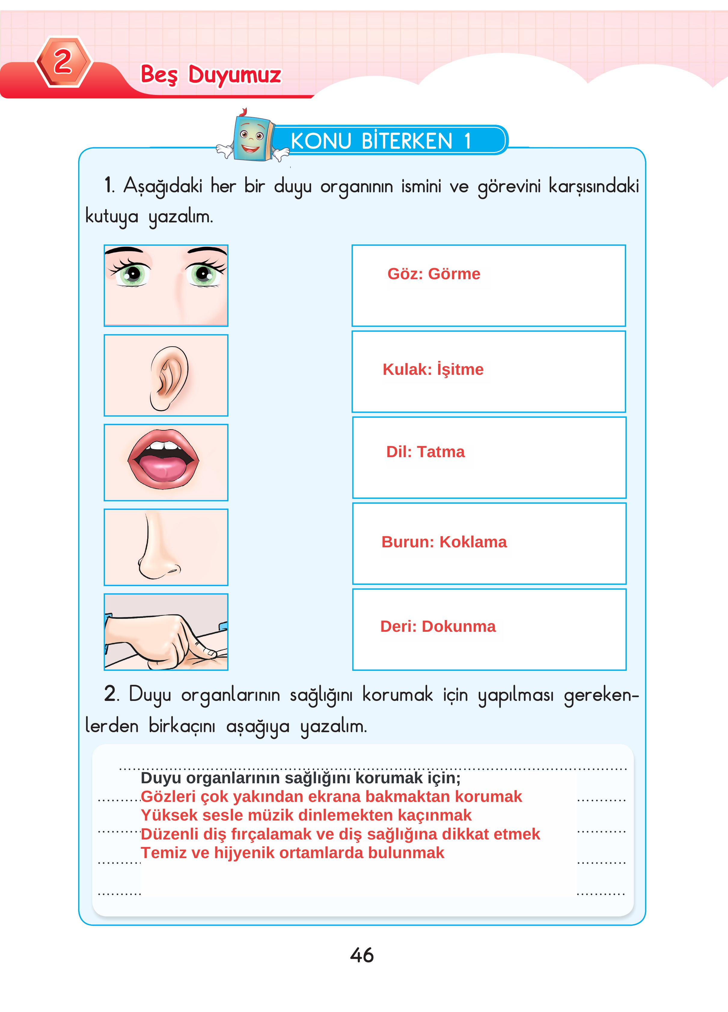 3. Sınıf Sdr Dikey Yayıncılık Fen Bilimleri Ders Kitabı Sayfa 46 Cevapları