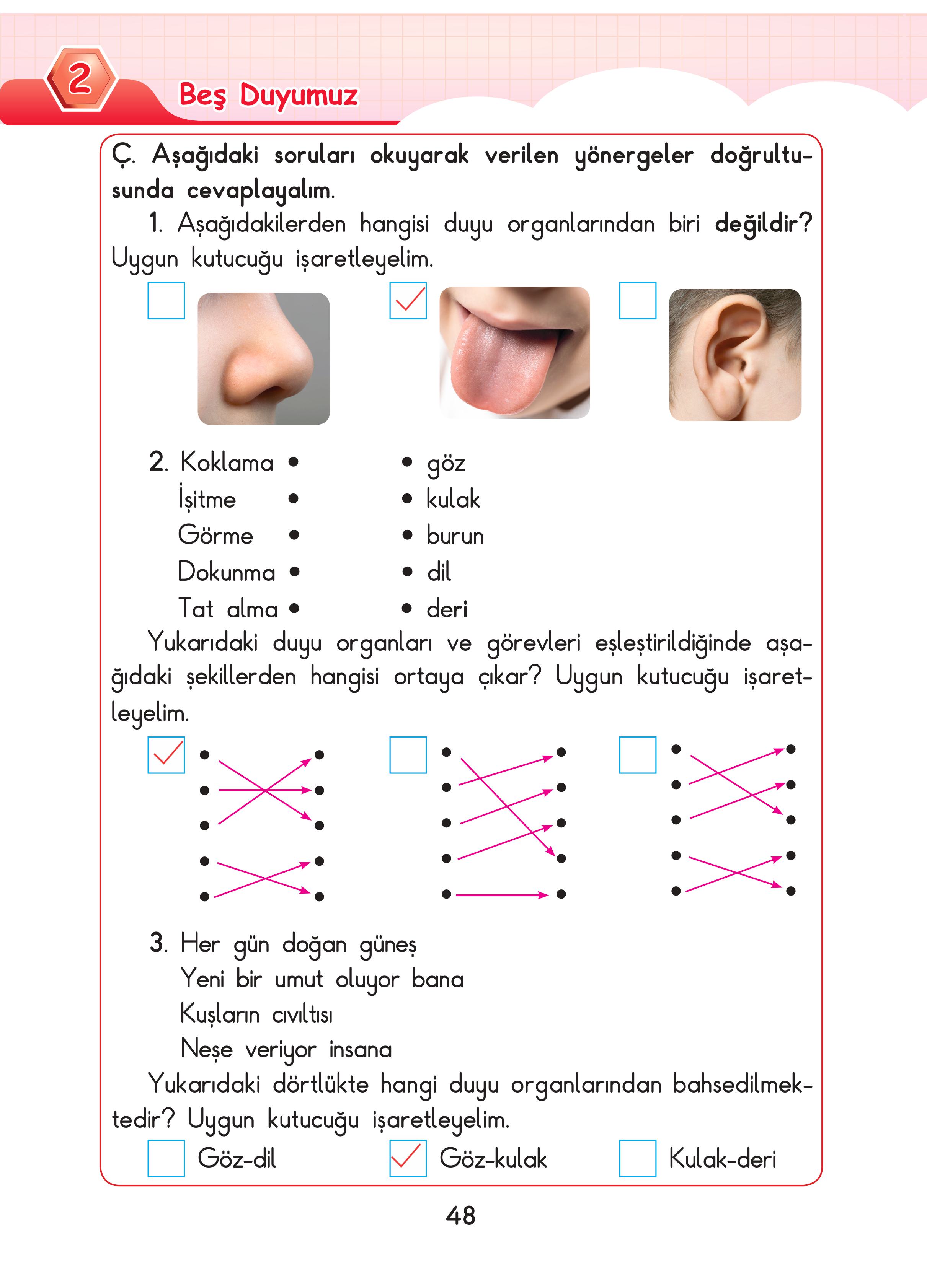 3. Sınıf Sdr Dikey Yayıncılık Fen Bilimleri Ders Kitabı Sayfa 48 Cevapları