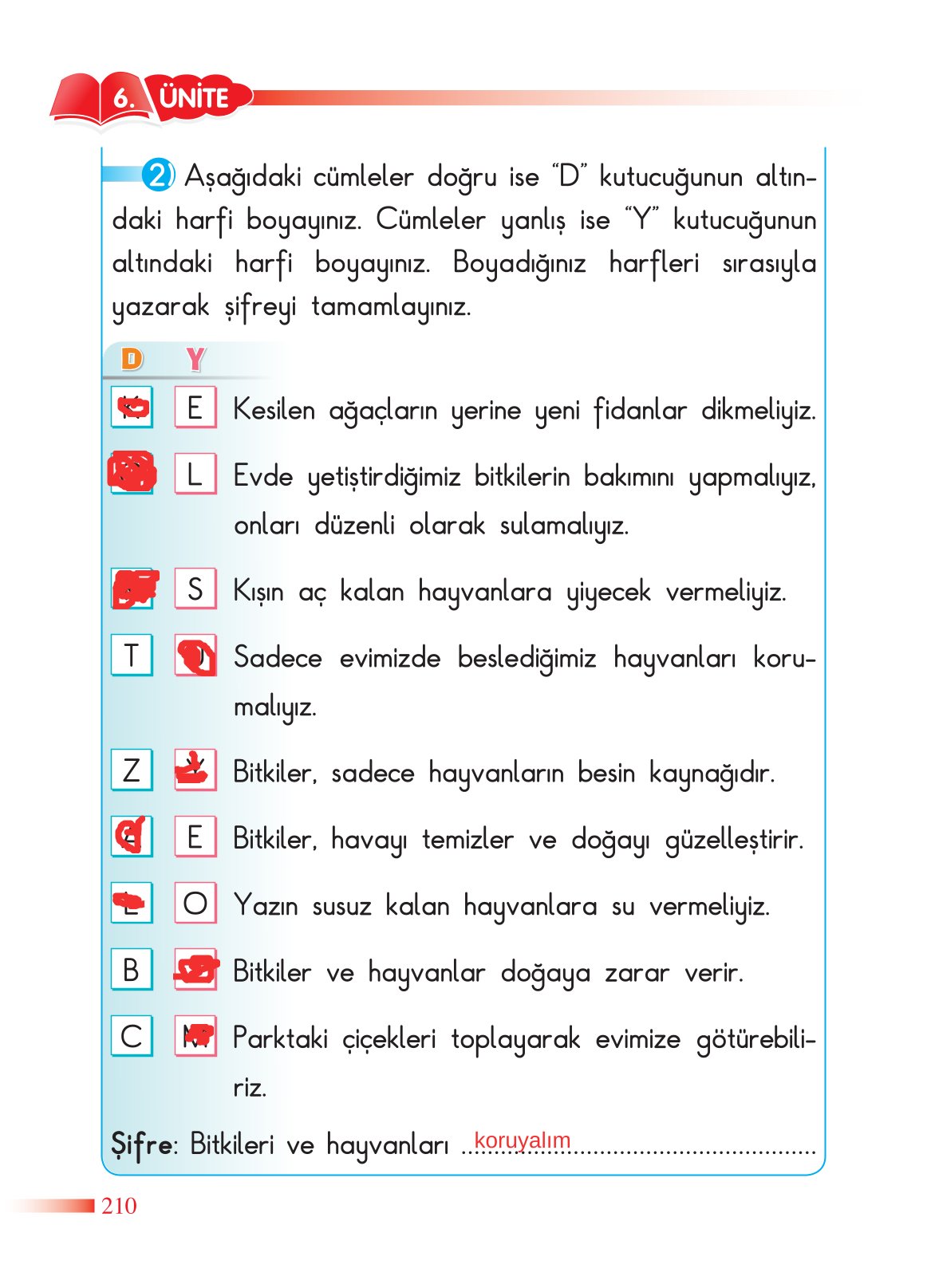 2. Sınıf Sdr Dikey Yayıncılık Hayat Bilgisi Ders Kitabı Sayfa 211 Cevapları