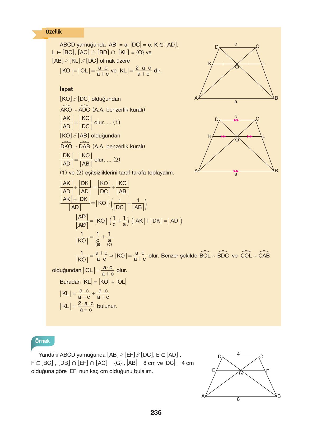 10. Sınıf Hecce Yayıncılık Matematik Ders Kitabı Sayfa 236 Cevapları