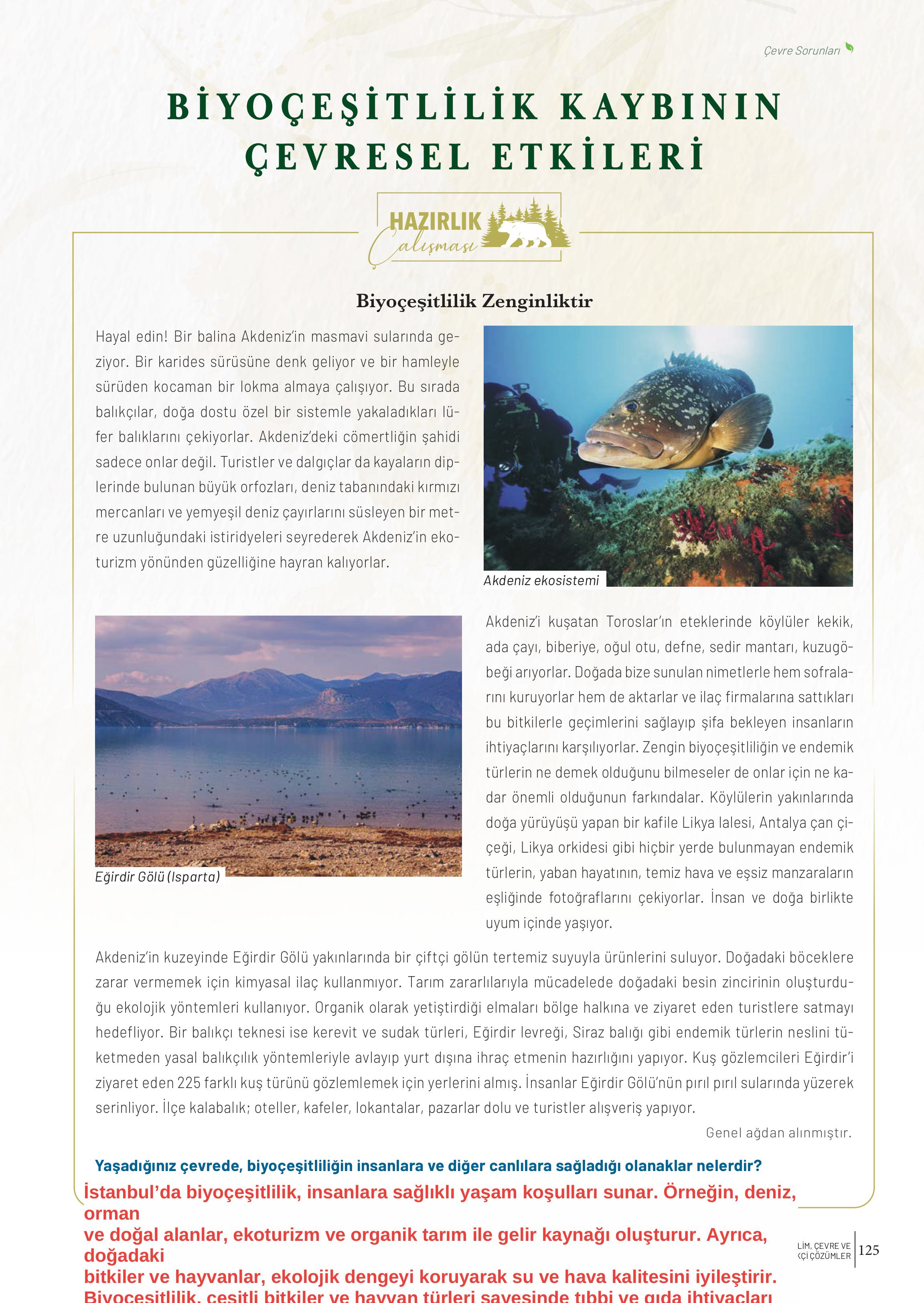 10. Sınıf Meb Yayınları İklim Çevre Ve Yenilikçi Çözümler Ders Kitabı Sayfa 125 Cevapları