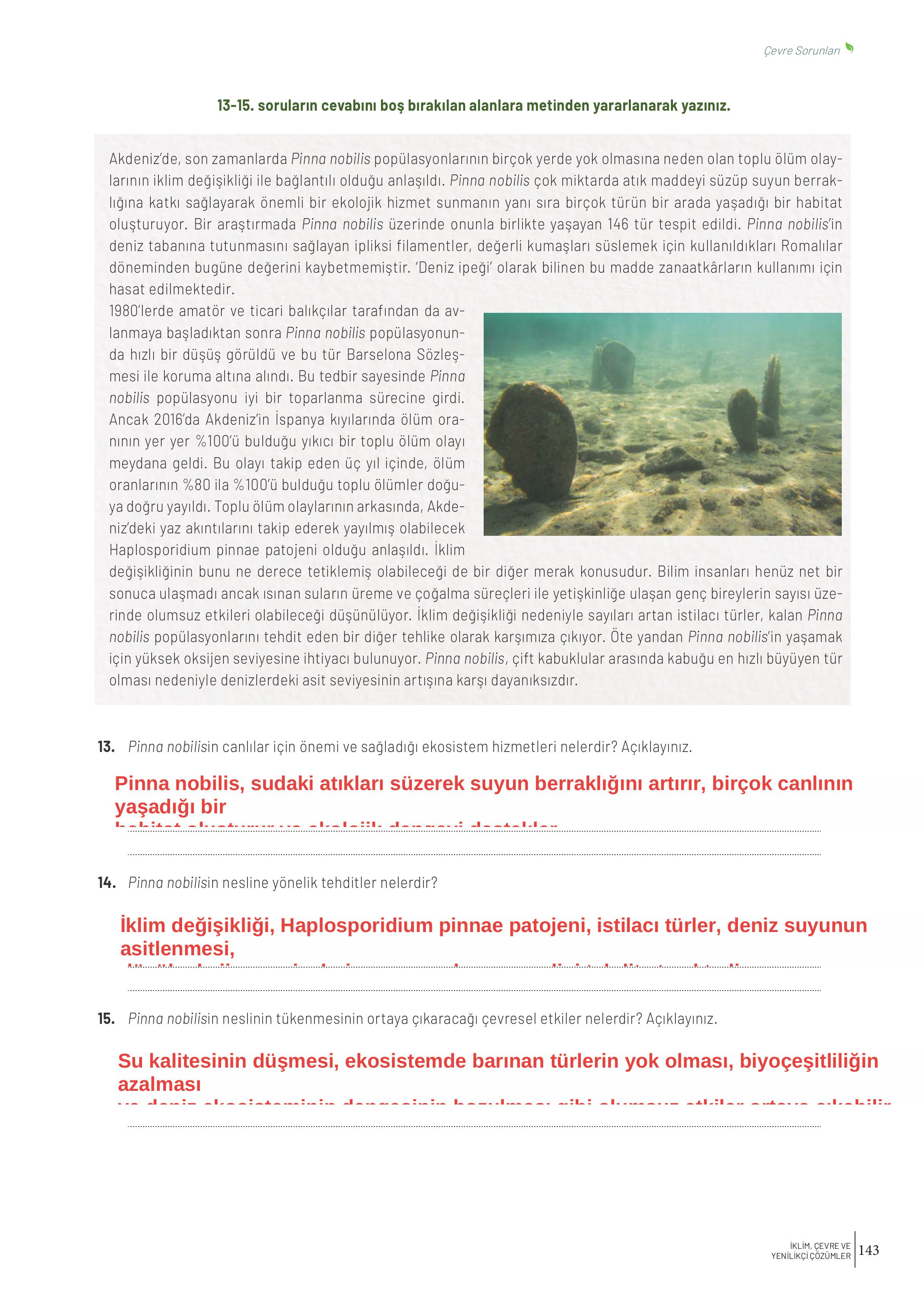 10. Sınıf Meb Yayınları İklim Çevre Ve Yenilikçi Çözümler Ders Kitabı Sayfa 143 Cevapları