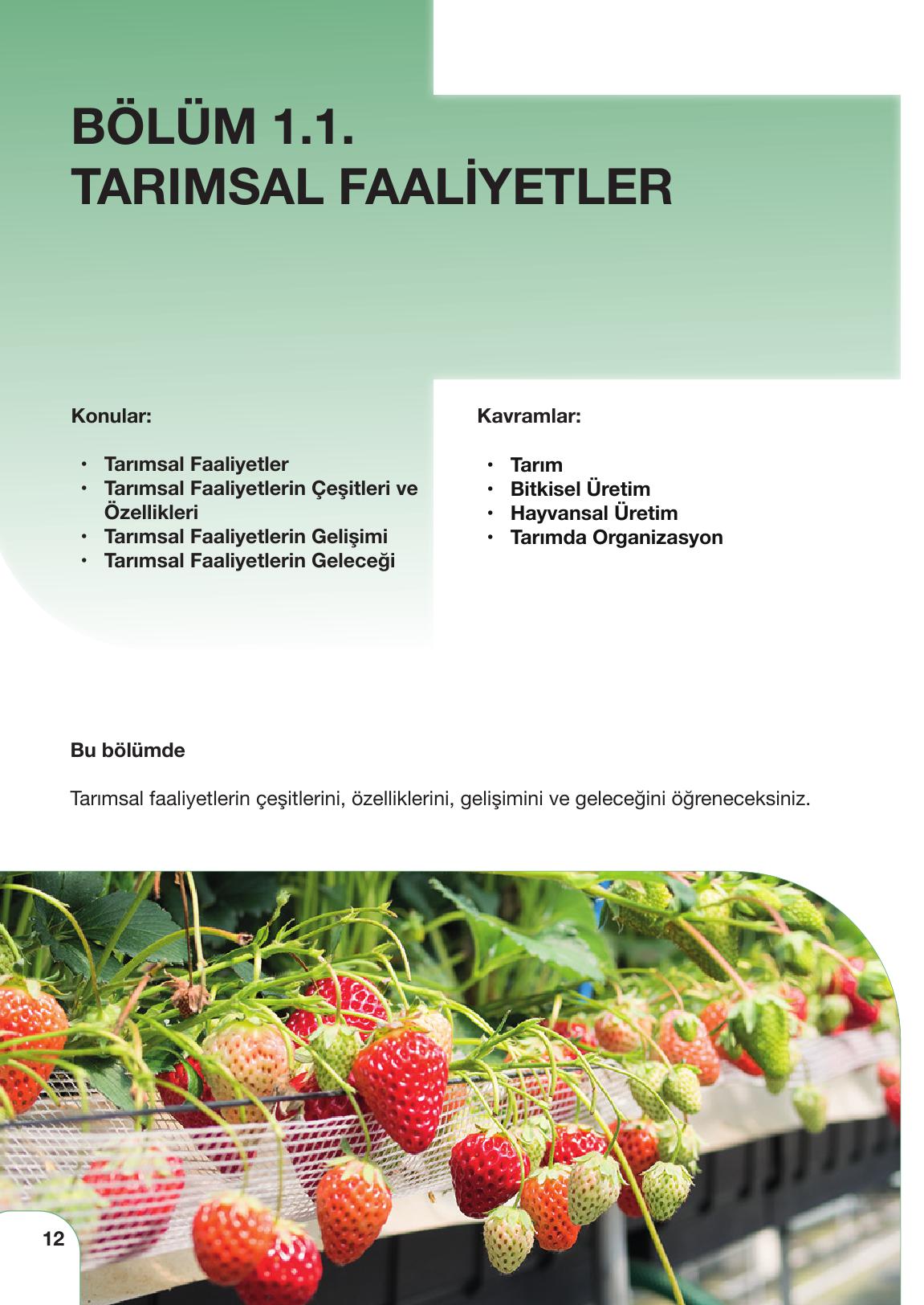 10. Sınıf Meb Yayınları Sürdürülebilir Tarım Ve Gıda Güvenliği Ders Kitabı Sayfa 12 Cevapları