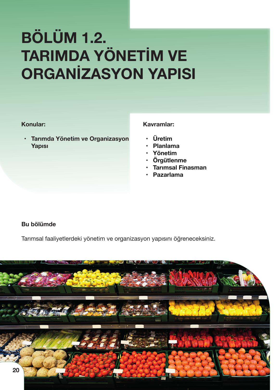 10. Sınıf Meb Yayınları Sürdürülebilir Tarım Ve Gıda Güvenliği Ders Kitabı Sayfa 20 Cevapları
