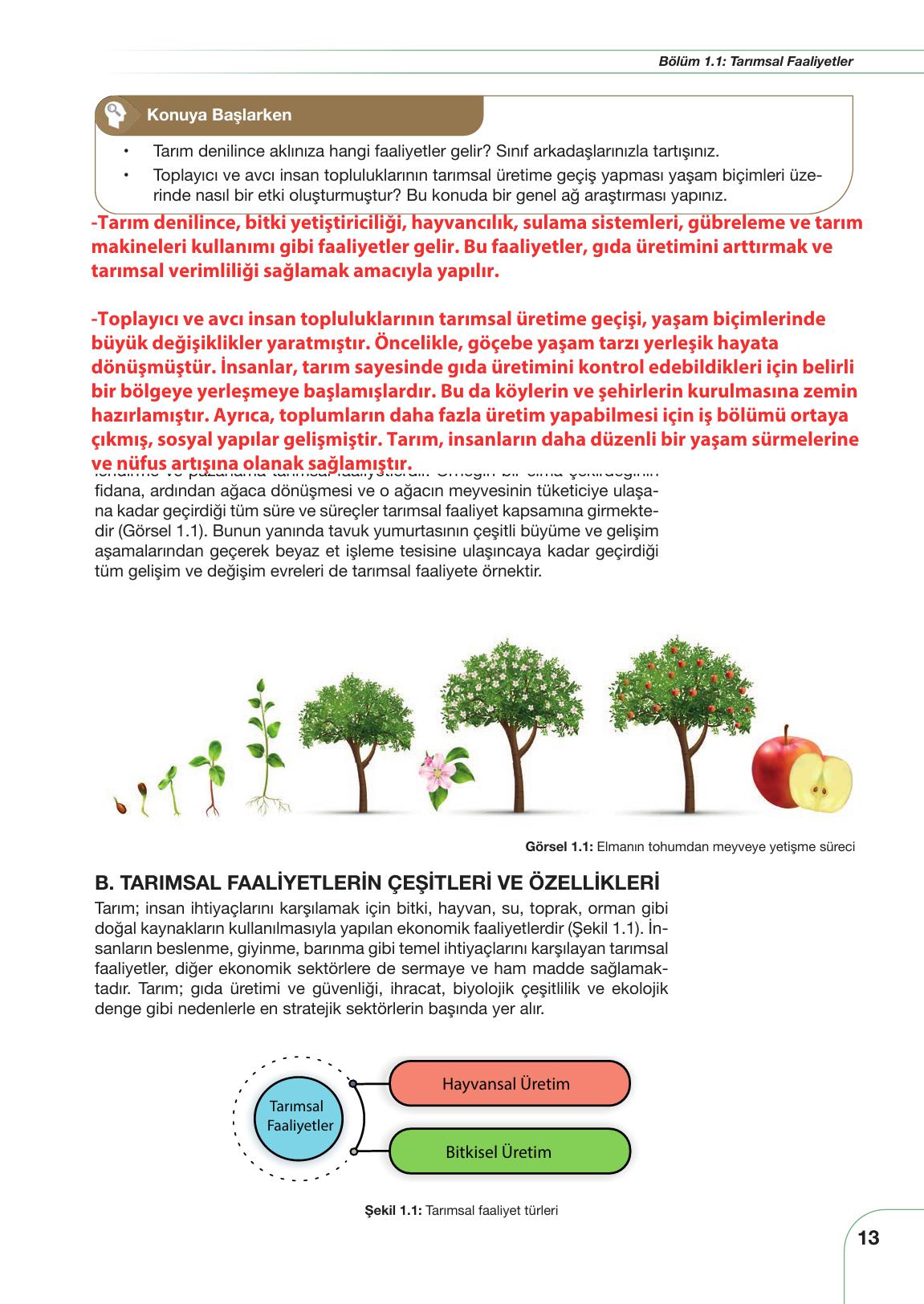 10. Sınıf Meb Yayınları Tarım Ve Gıda Güvenliği Ders Kitabı Sayfa 13 Cevapları