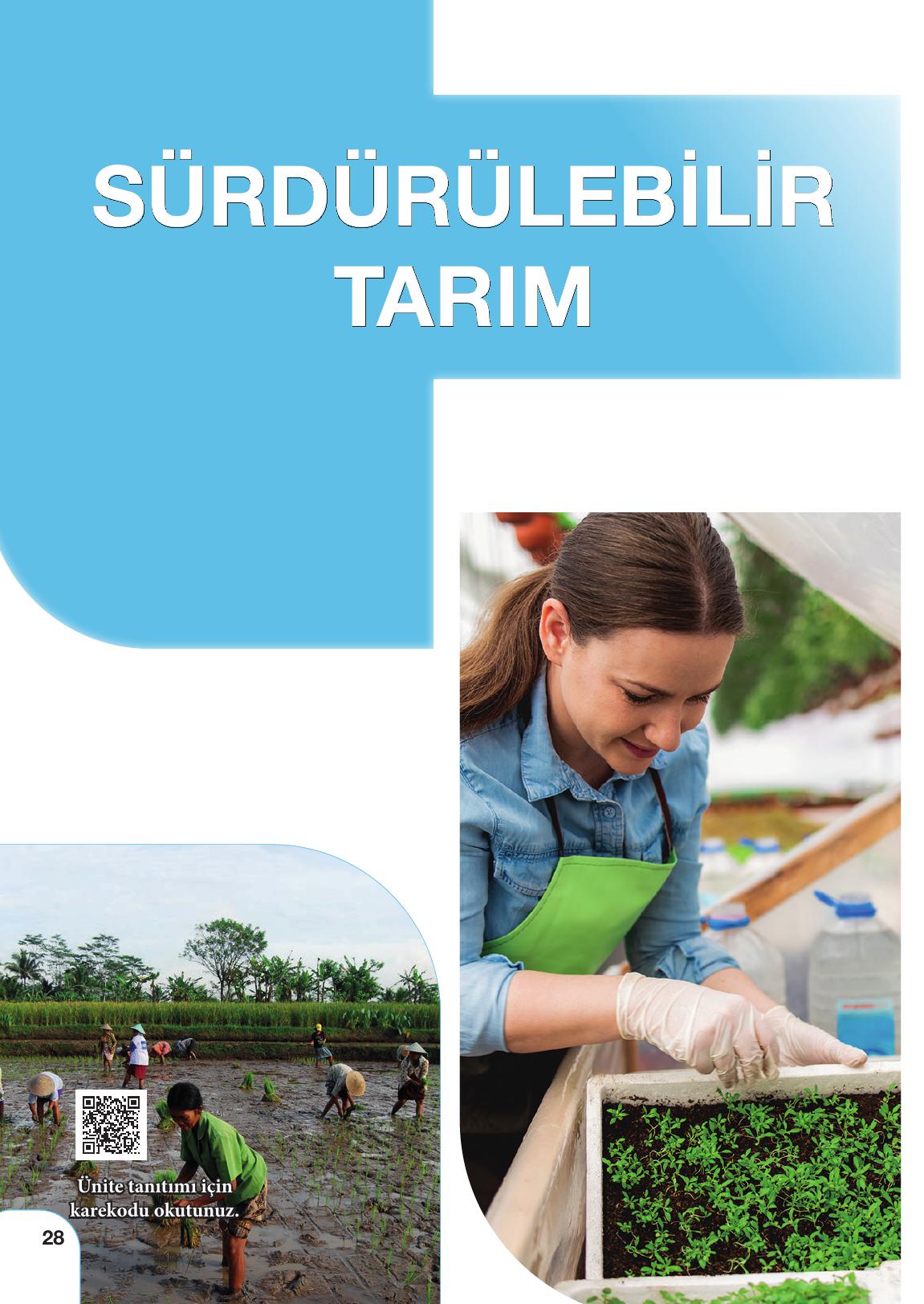 10. Sınıf Meb Yayınları Tarım Ve Gıda Güvenliği Ders Kitabı Sayfa 28 Cevapları