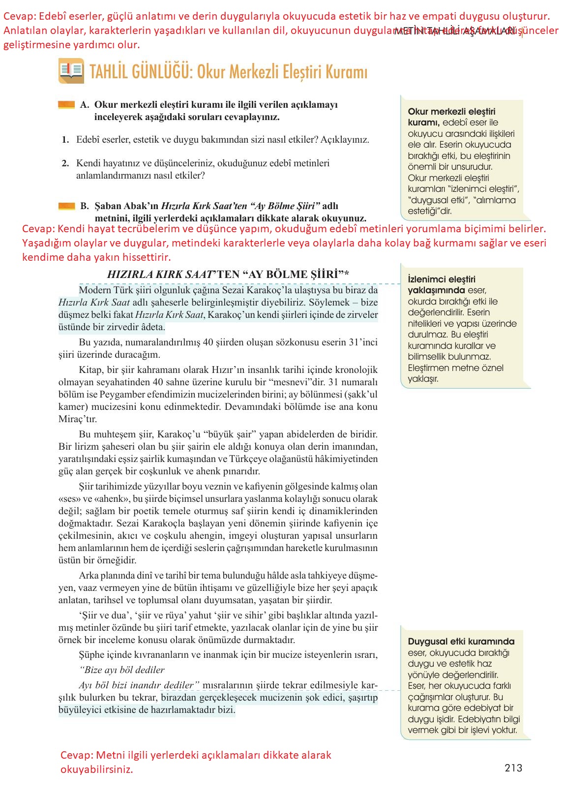 11. Sınıf Meb Yayınları Metin Tahlilleri Ders Kitabı Sayfa 213 Cevapları