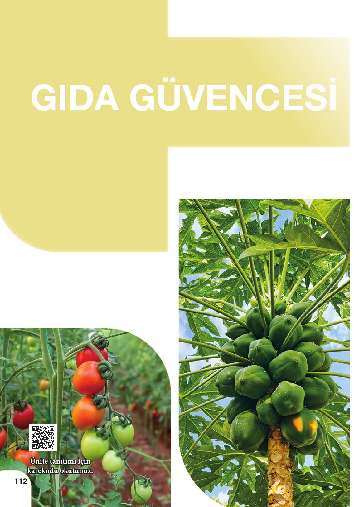 11. Sınıf Meb Yayınları Tarım Ve Gıda Güvenliği Ders Kitabı Sayfa 112 Cevapları