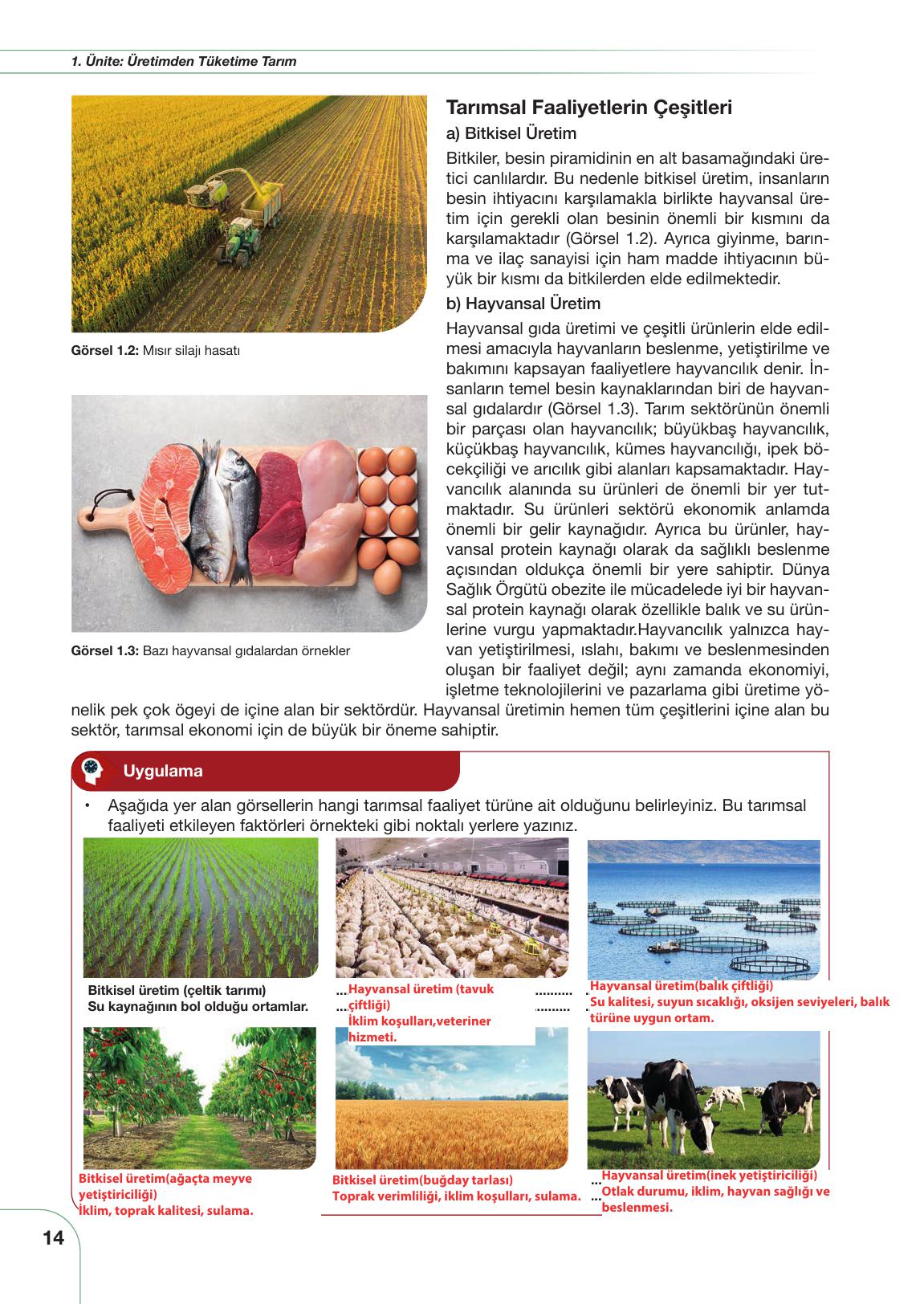 11. Sınıf Meb Yayınları Tarım Ve Gıda Güvenliği Ders Kitabı Sayfa 14 Cevapları