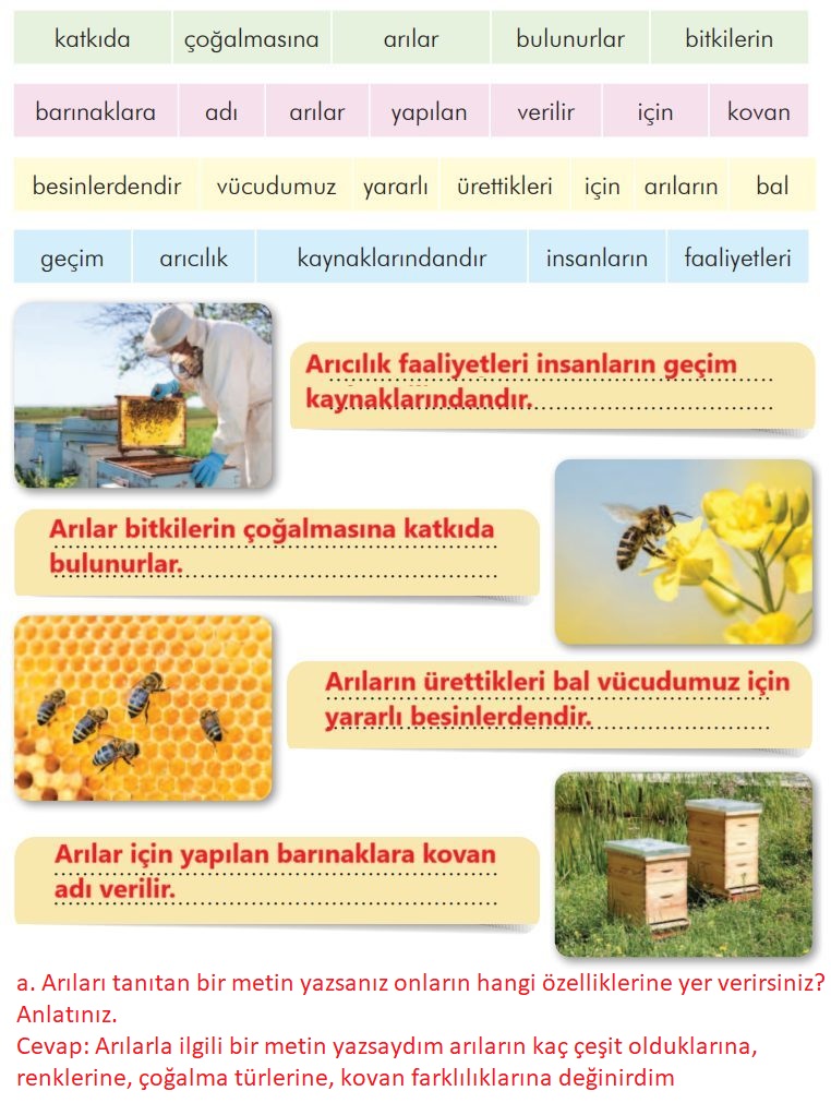 3-s-n-f-lke-yay-nlar-t-rk-e-ders-kitab-sayfa-271-cevaplar