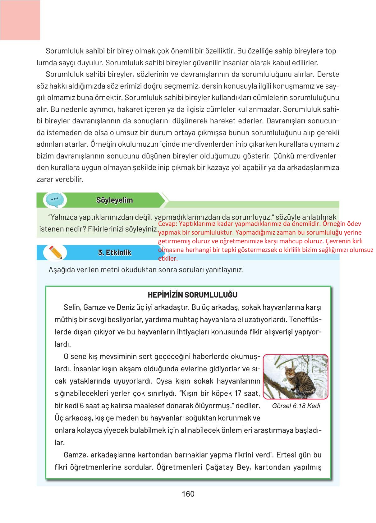 4. Sınıf Hecce Yayıncılık Sosyal Bilgiler Ders Kitabı Sayfa 160 Cevapları