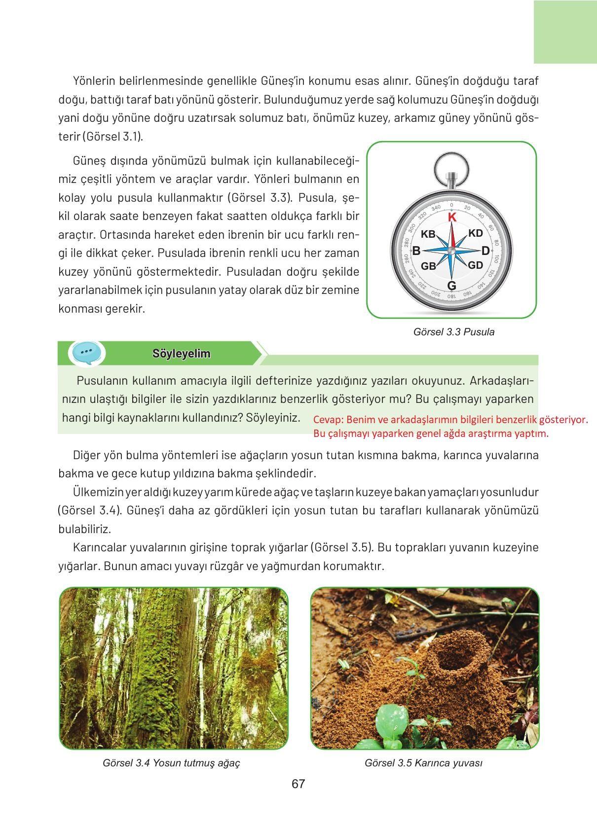 4. Sınıf Hecce Yayıncılık Sosyal Bilgiler Ders Kitabı Sayfa 67 Cevapları
