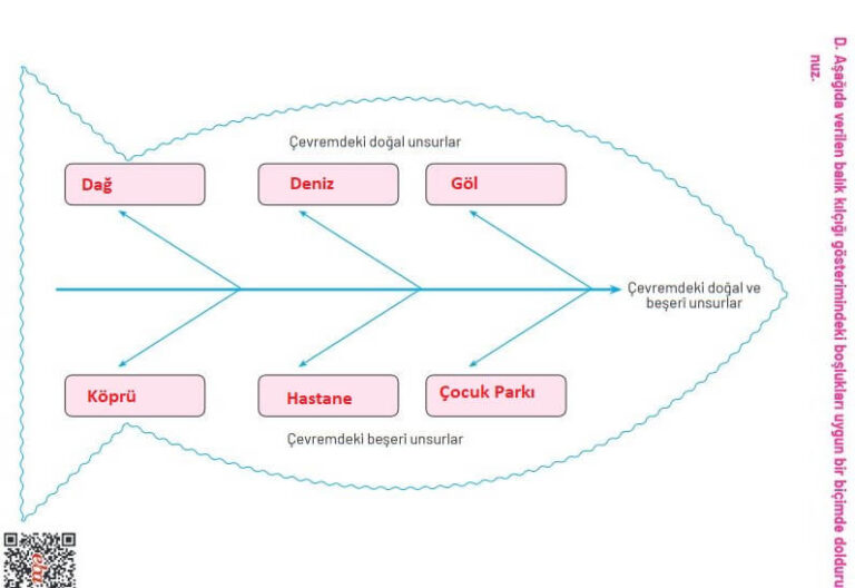 4. Sınıf Hecce Yayıncılık Sosyal Bilgiler Ders Kitabı Sayfa 98 Cevapları