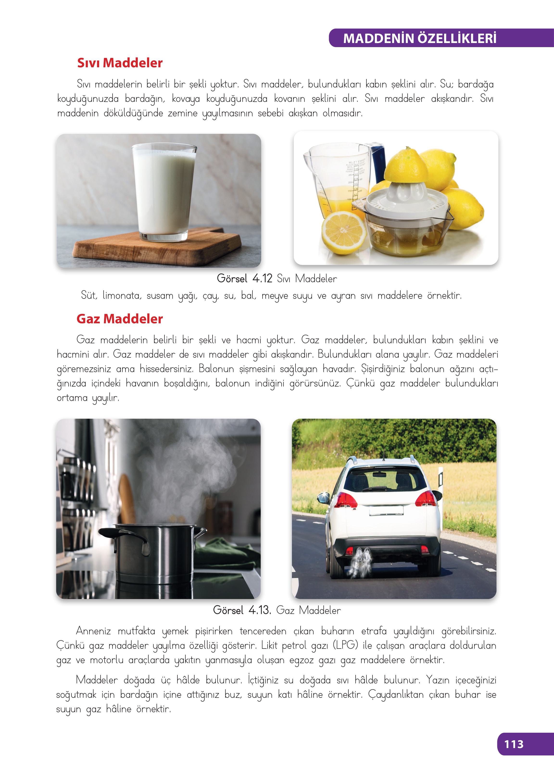 4. Sınıf Meb Yayınları Fen Bilimleri Ders Kitabı Sayfa 113 Cevapları