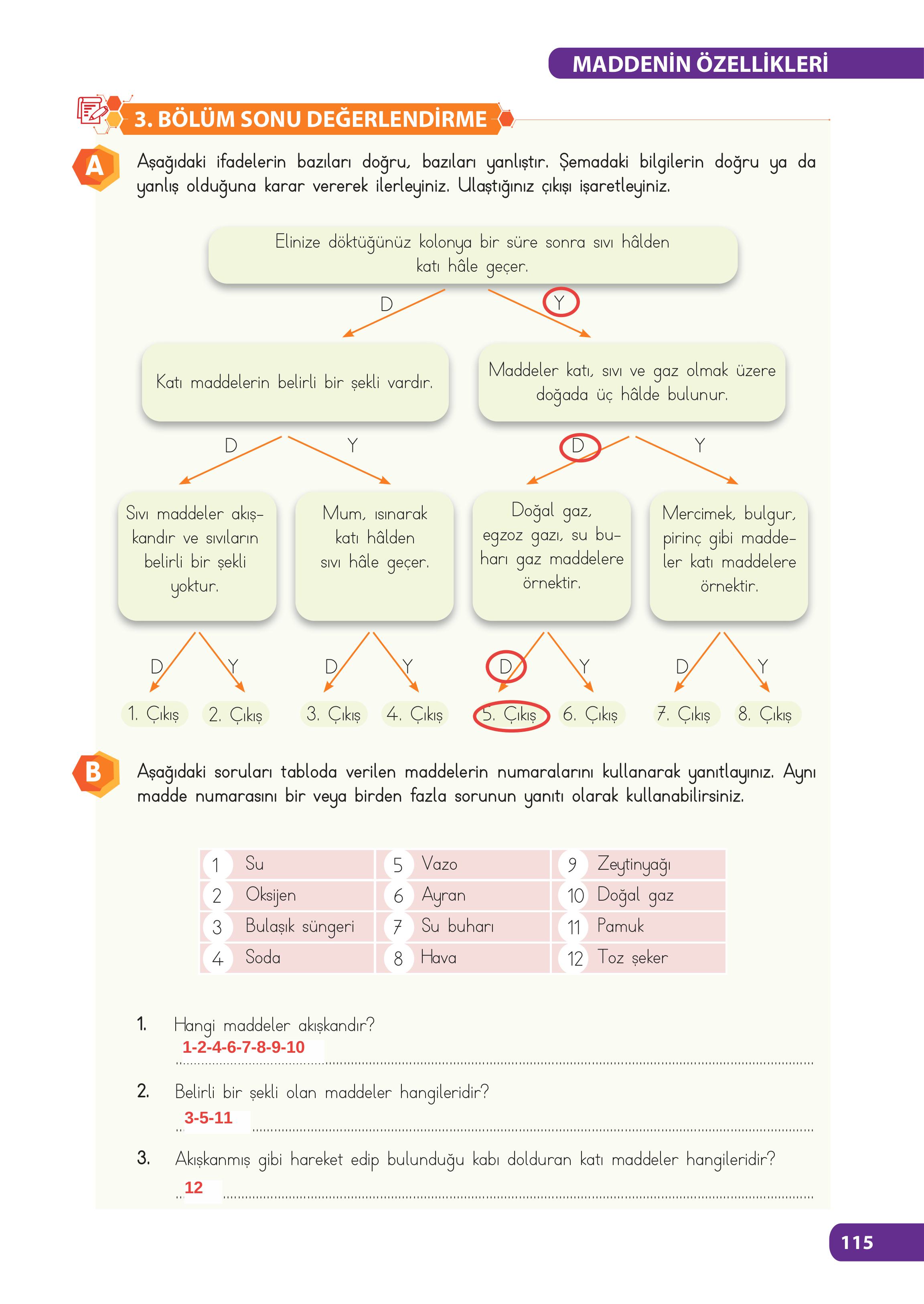 4. Sınıf Meb Yayınları Fen Bilimleri Ders Kitabı Sayfa 115 Cevapları
