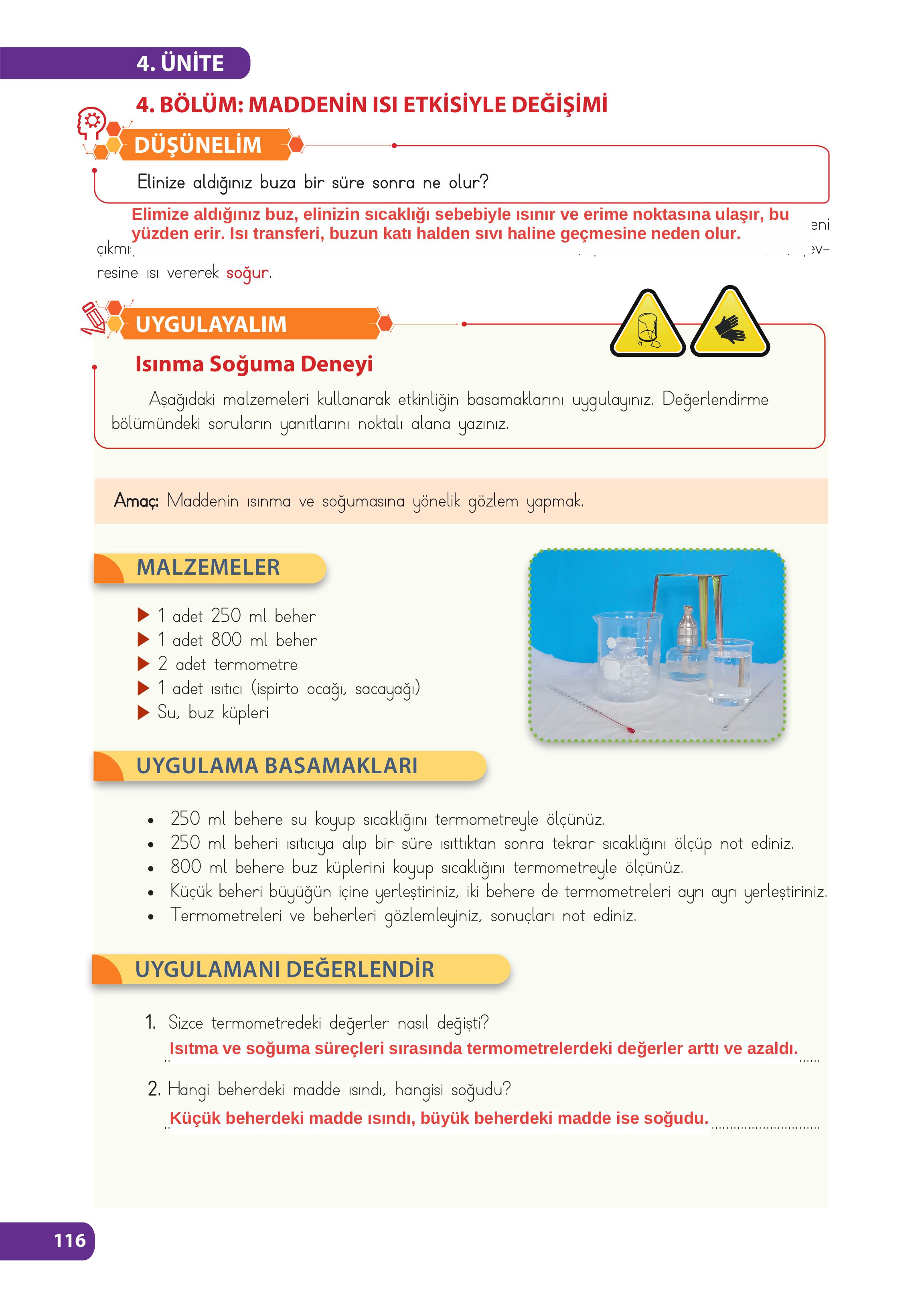 4. Sınıf Meb Yayınları Fen Bilimleri Ders Kitabı Sayfa 116 Cevapları