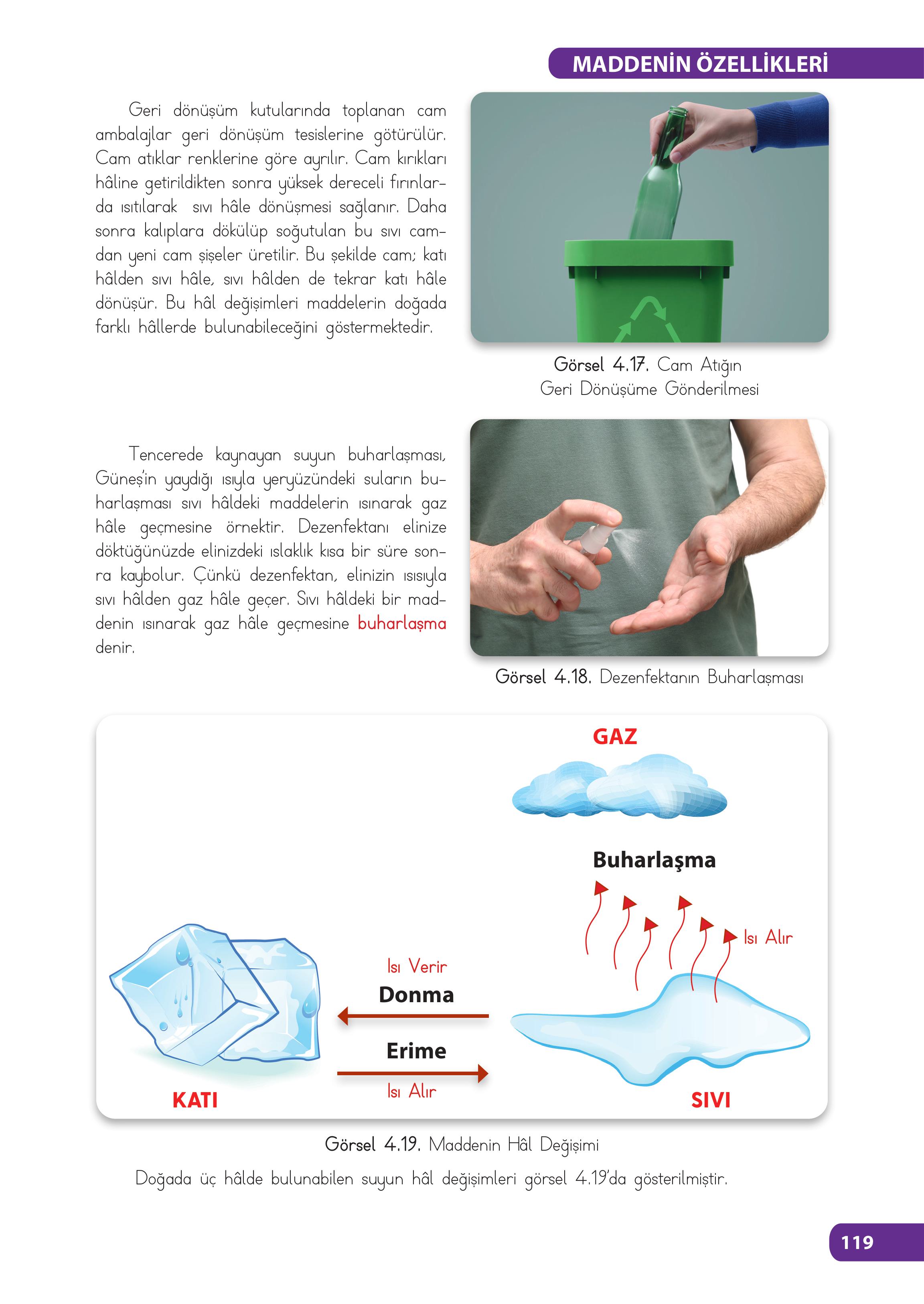 4. Sınıf Meb Yayınları Fen Bilimleri Ders Kitabı Sayfa 119 Cevapları