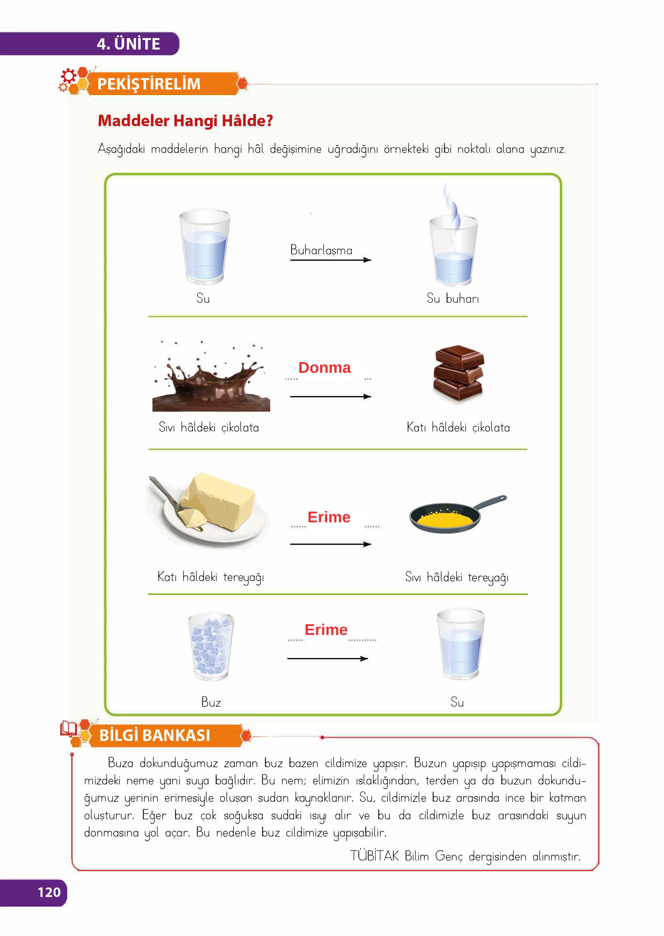 4. Sınıf Meb Yayınları Fen Bilimleri Ders Kitabı Sayfa 120 Cevapları
