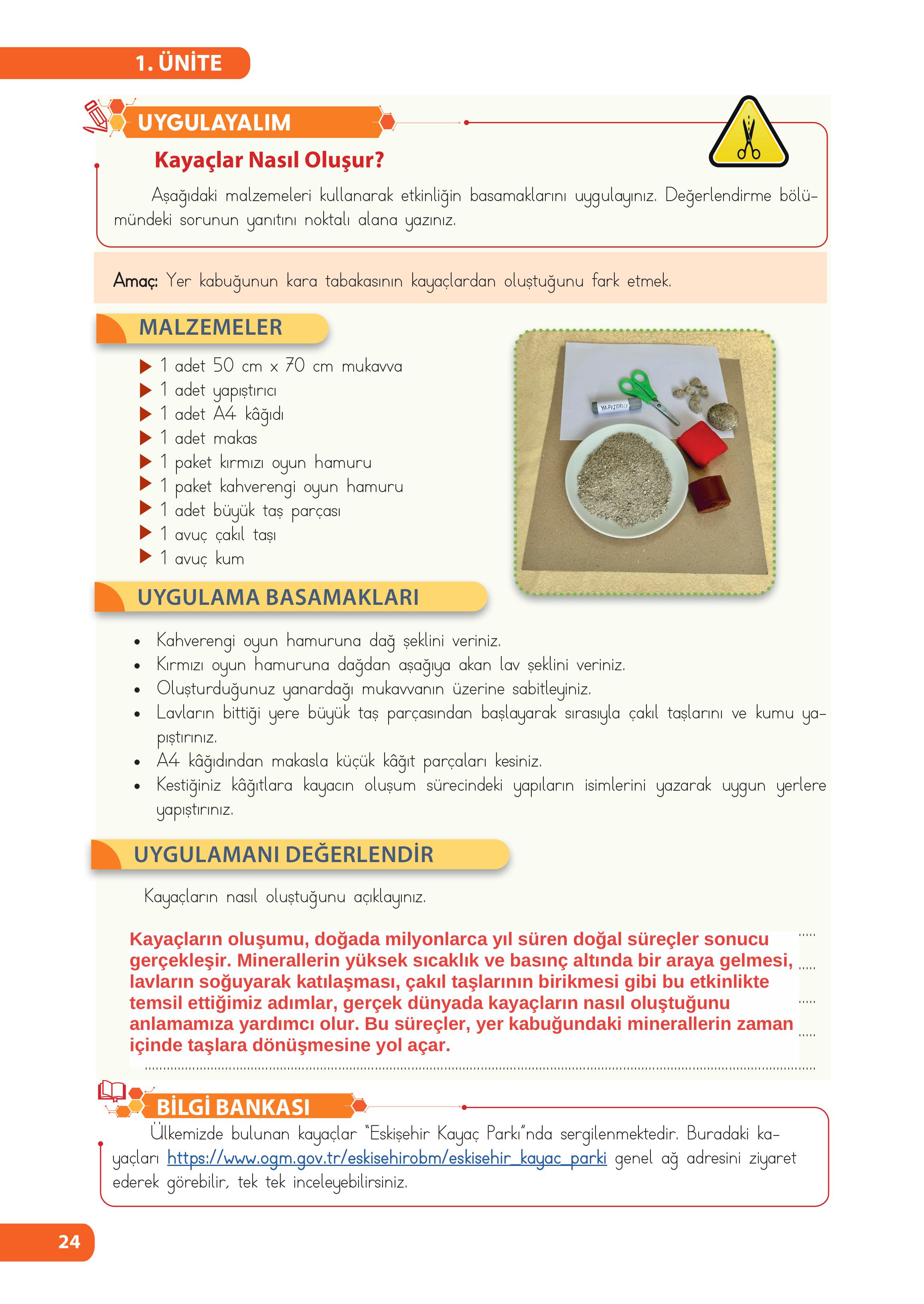 4. Sınıf Meb Yayınları Fen Bilimleri Ders Kitabı Sayfa 24 Cevapları
