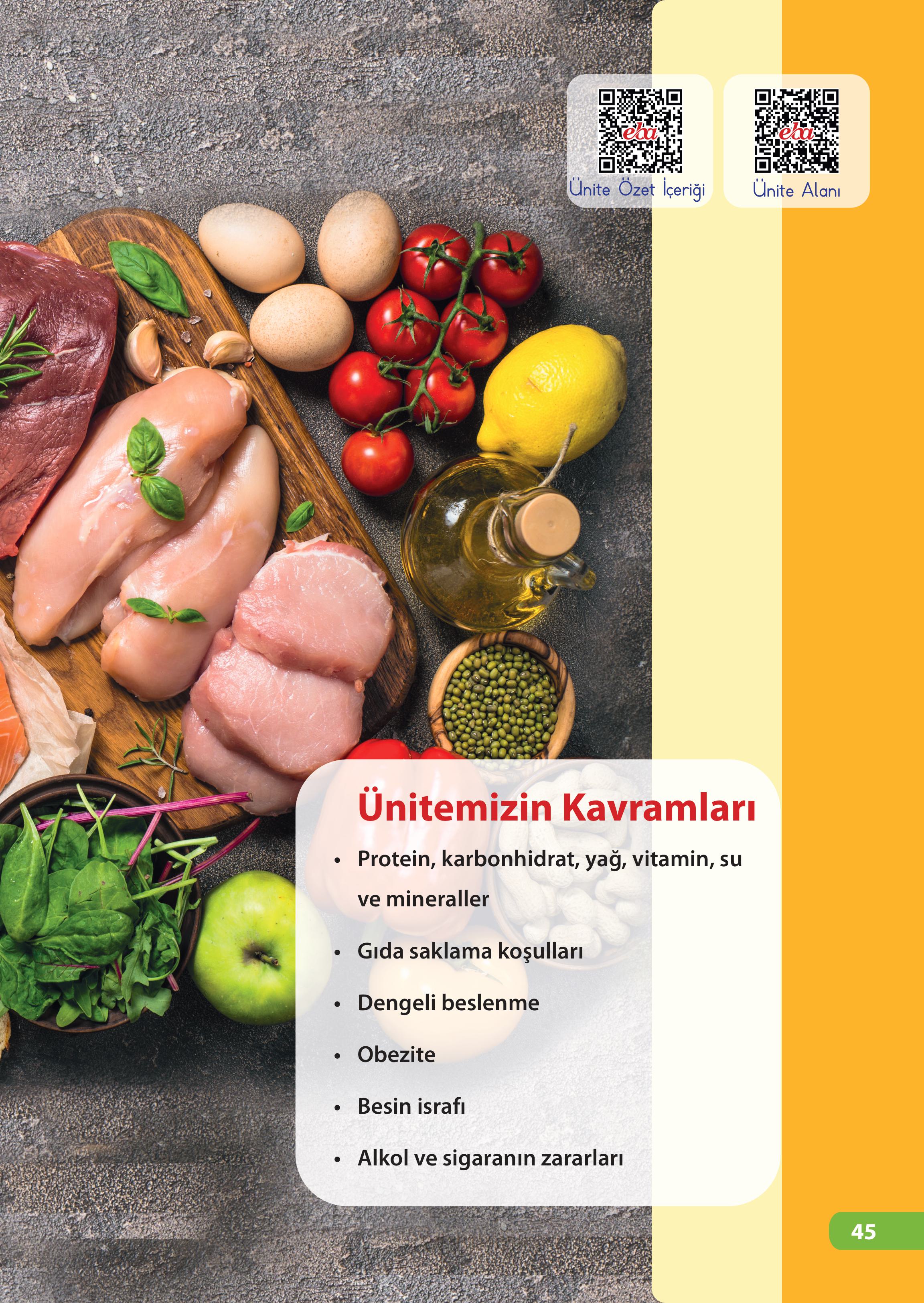 4. Sınıf Meb Yayınları Fen Bilimleri Ders Kitabı Sayfa 45 Cevapları 4. Sınıf Meb Yayınları Fen Bilimleri Ders Kitabı Sayfa 45 Cevapları