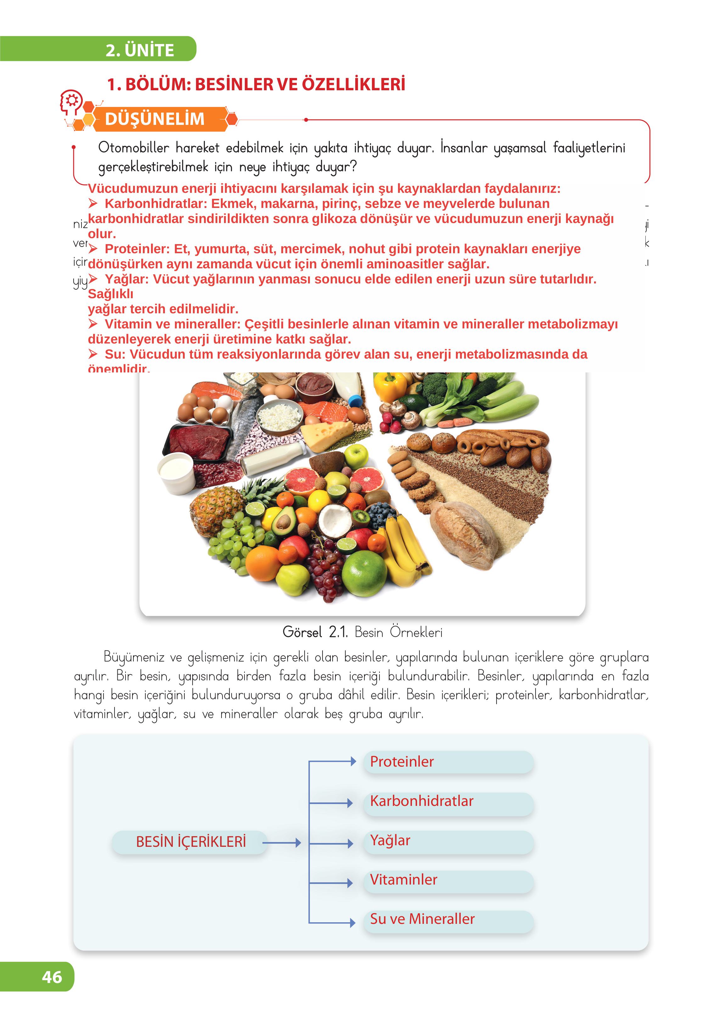 4. Sınıf Meb Yayınları Fen Bilimleri Ders Kitabı Sayfa 46 Cevapları 4. Sınıf Meb Yayınları Fen Bilimleri Ders Kitabı Sayfa 46 Cevapları