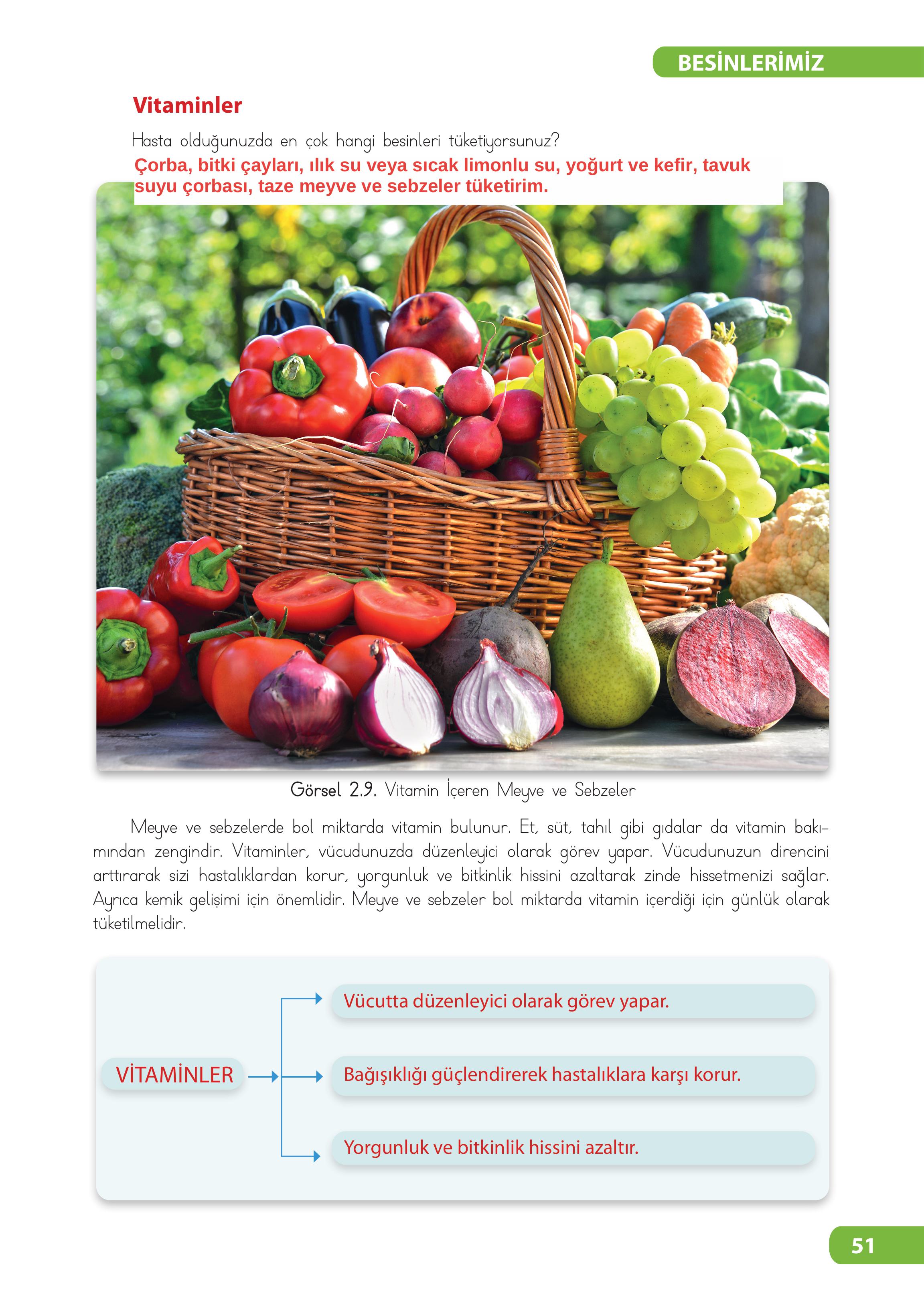 4. Sınıf Meb Yayınları Fen Bilimleri Ders Kitabı Sayfa 51 Cevapları