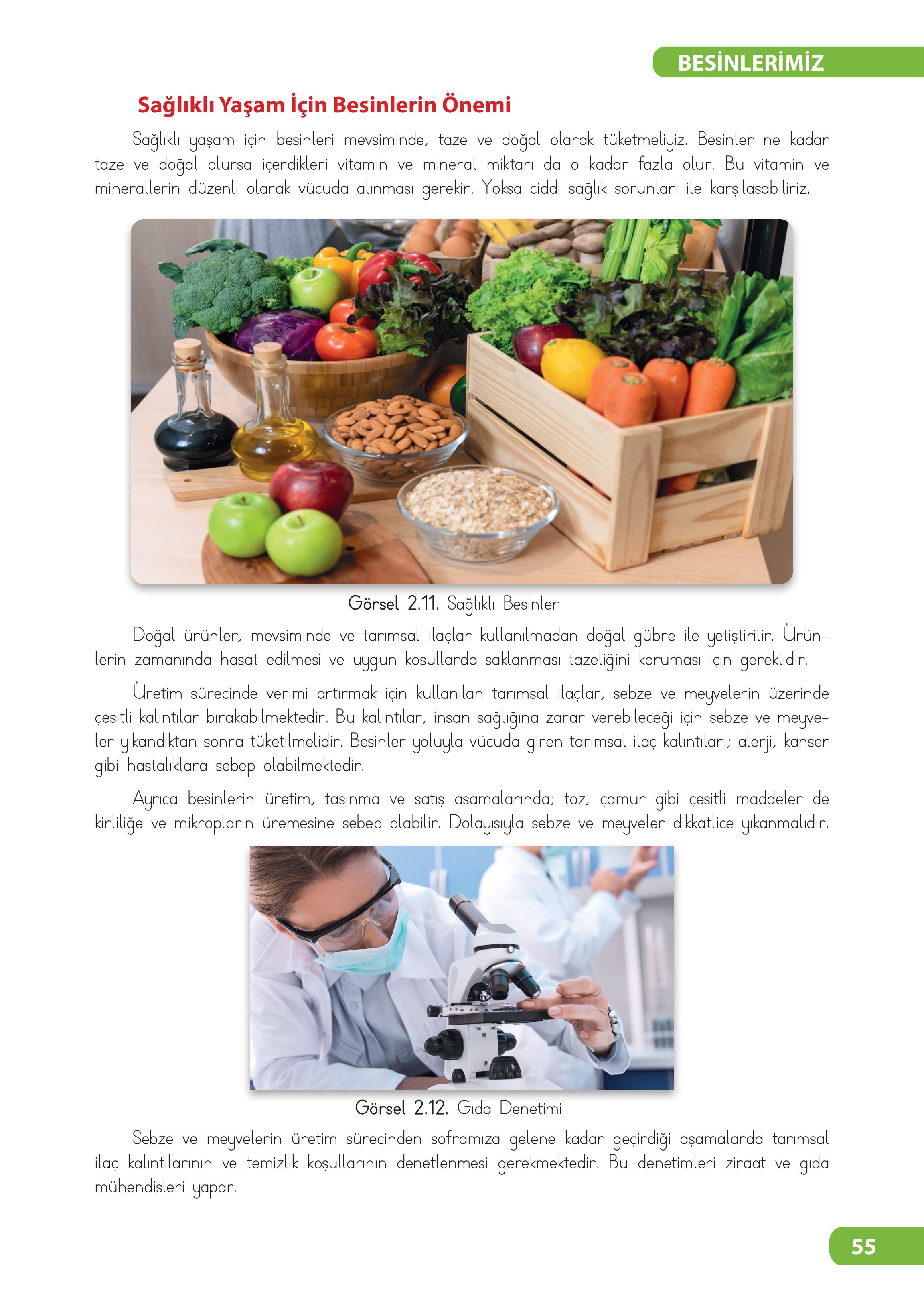 4. Sınıf Meb Yayınları Fen Bilimleri Ders Kitabı Sayfa 55 Cevapları