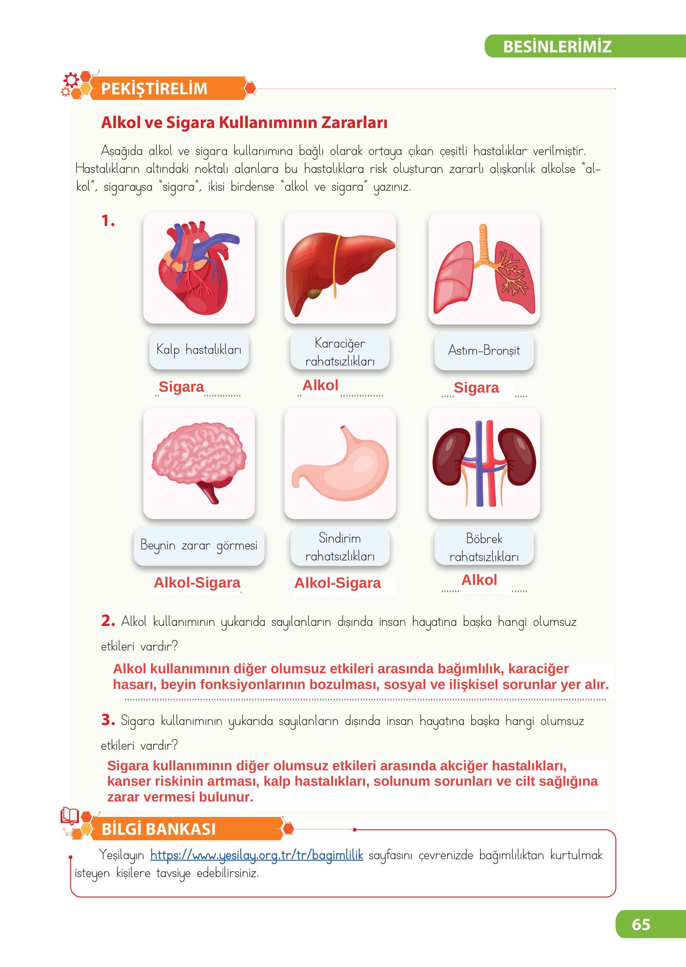 4. Sınıf Meb Yayınları Fen Bilimleri Ders Kitabı Sayfa 65 Cevapları 4. Sınıf Meb Yayınları Fen Bilimleri Ders Kitabı Sayfa 65 Cevapları