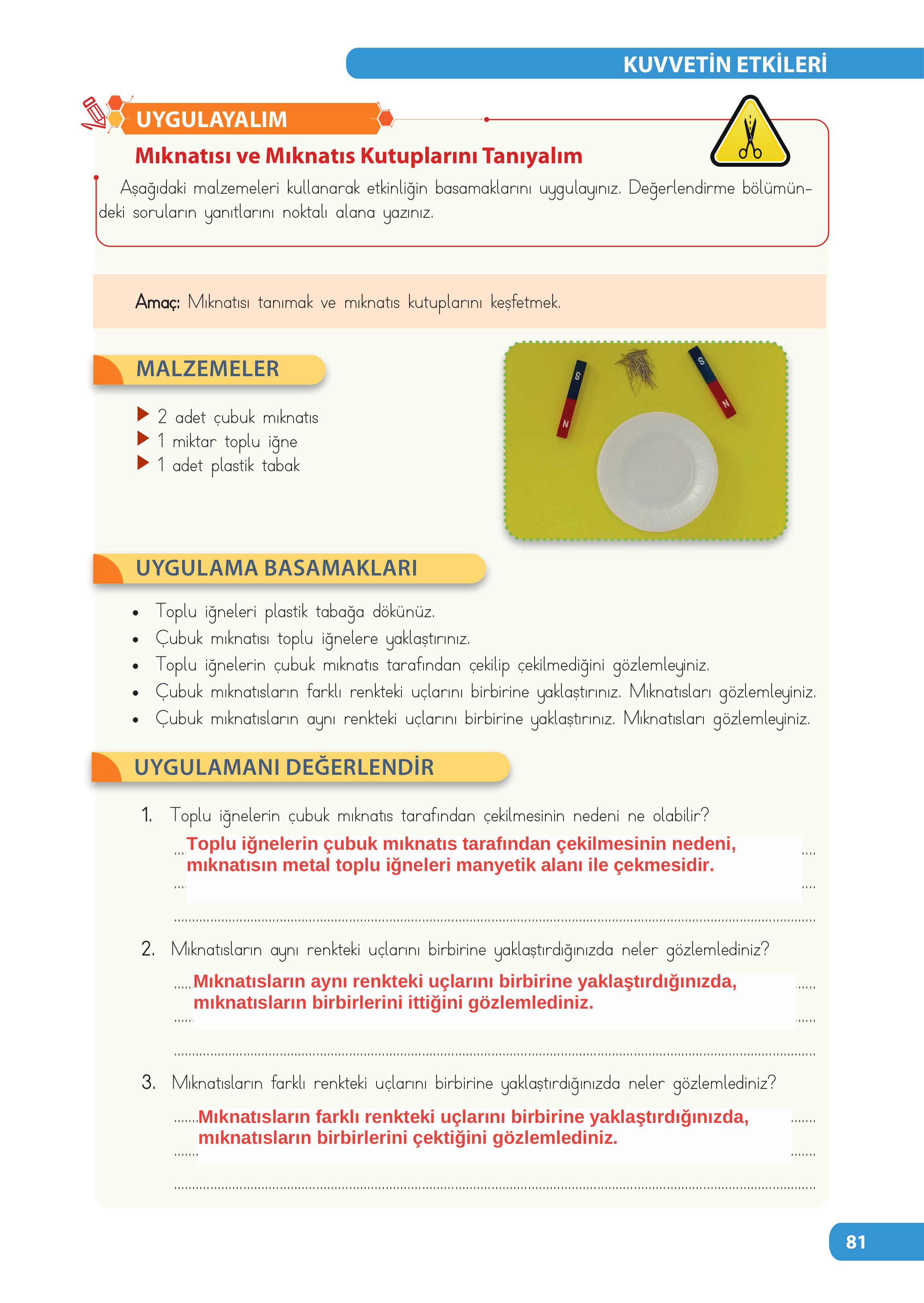4. Sınıf Meb Yayınları Fen Bilimleri Ders Kitabı Sayfa 81 Cevapları