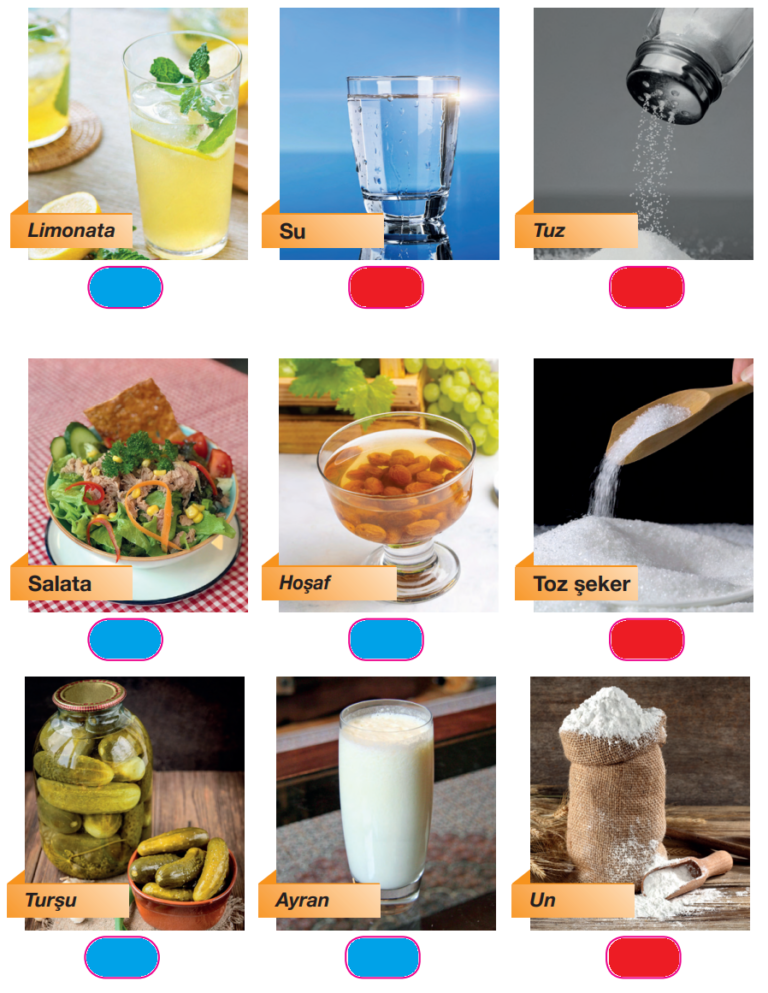 4. Sınıf Pasifik Yayınları Fen Bilimleri Ders Kitabı Sayfa 154 Cevapları