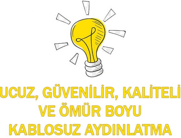 4. Sınıf Pasifik Yayınları Fen Bilimleri Ders Kitabı Sayfa 203 Cevapları