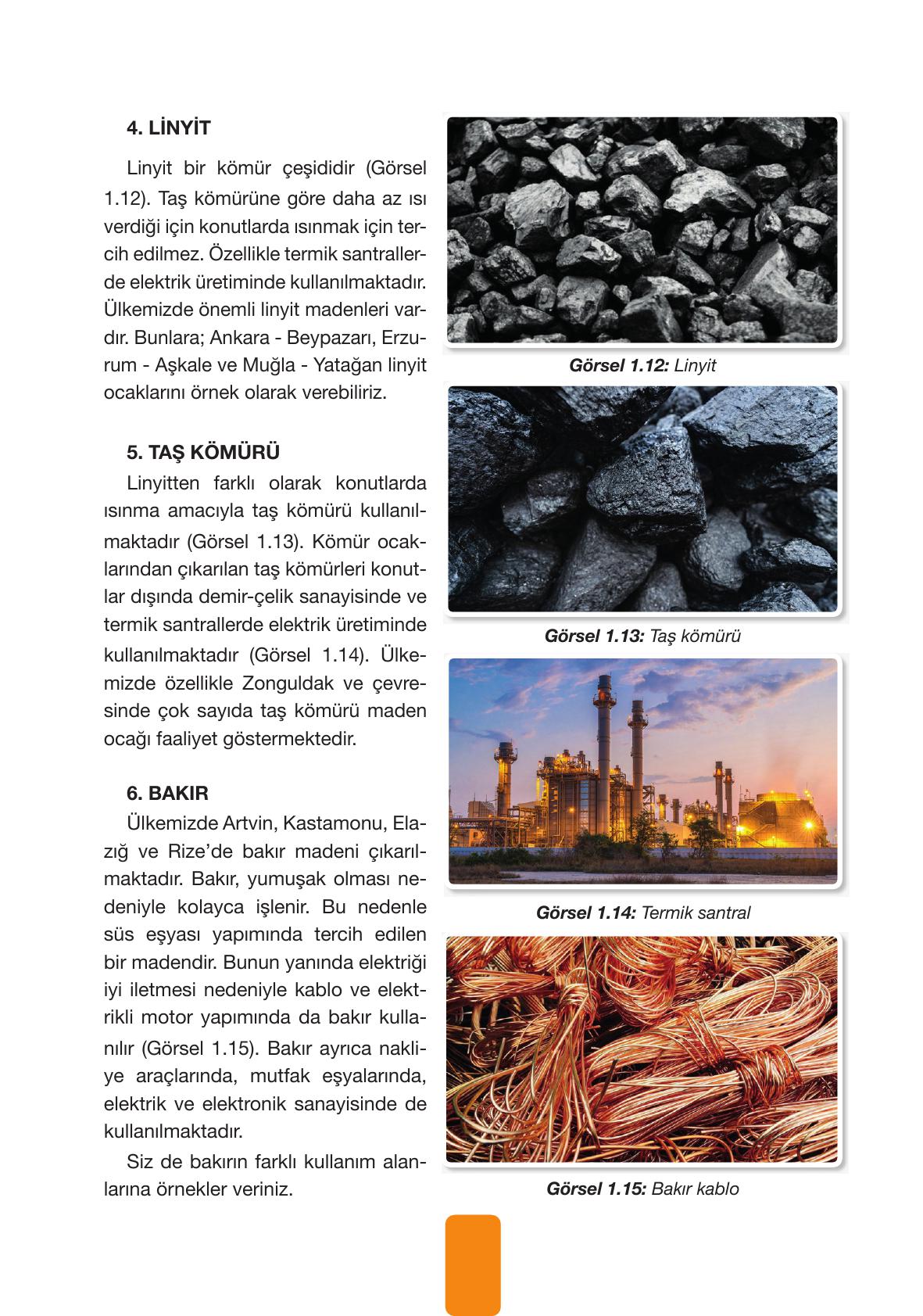4. Sınıf Pasifik Yayınları Fen Bilimleri Ders Kitabı Sayfa 32 Cevapları 4. Sınıf Pasifik Yayınları Fen Bilimleri Ders Kitabı Sayfa 32 Cevapları