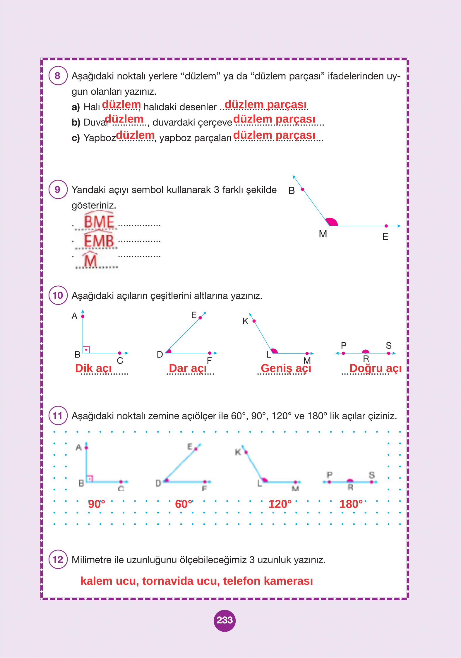 4. Sınıf Pasifik Yayınları Matematik Ders Kitabı Sayfa 233 Cevapları