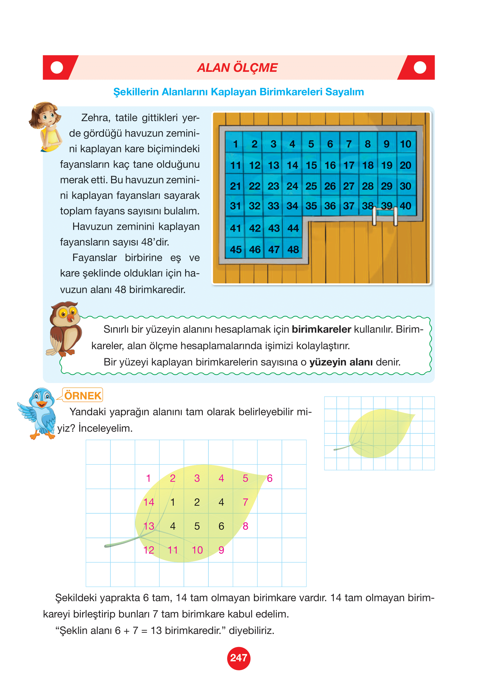 4. Sınıf Pasifik Yayınları Matematik Ders Kitabı Sayfa 247 Cevapları