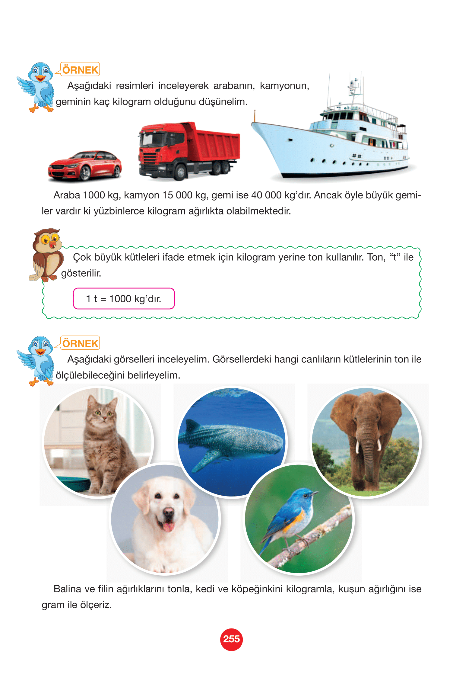 4. Sınıf Pasifik Yayınları Matematik Ders Kitabı Sayfa 255 Cevapları