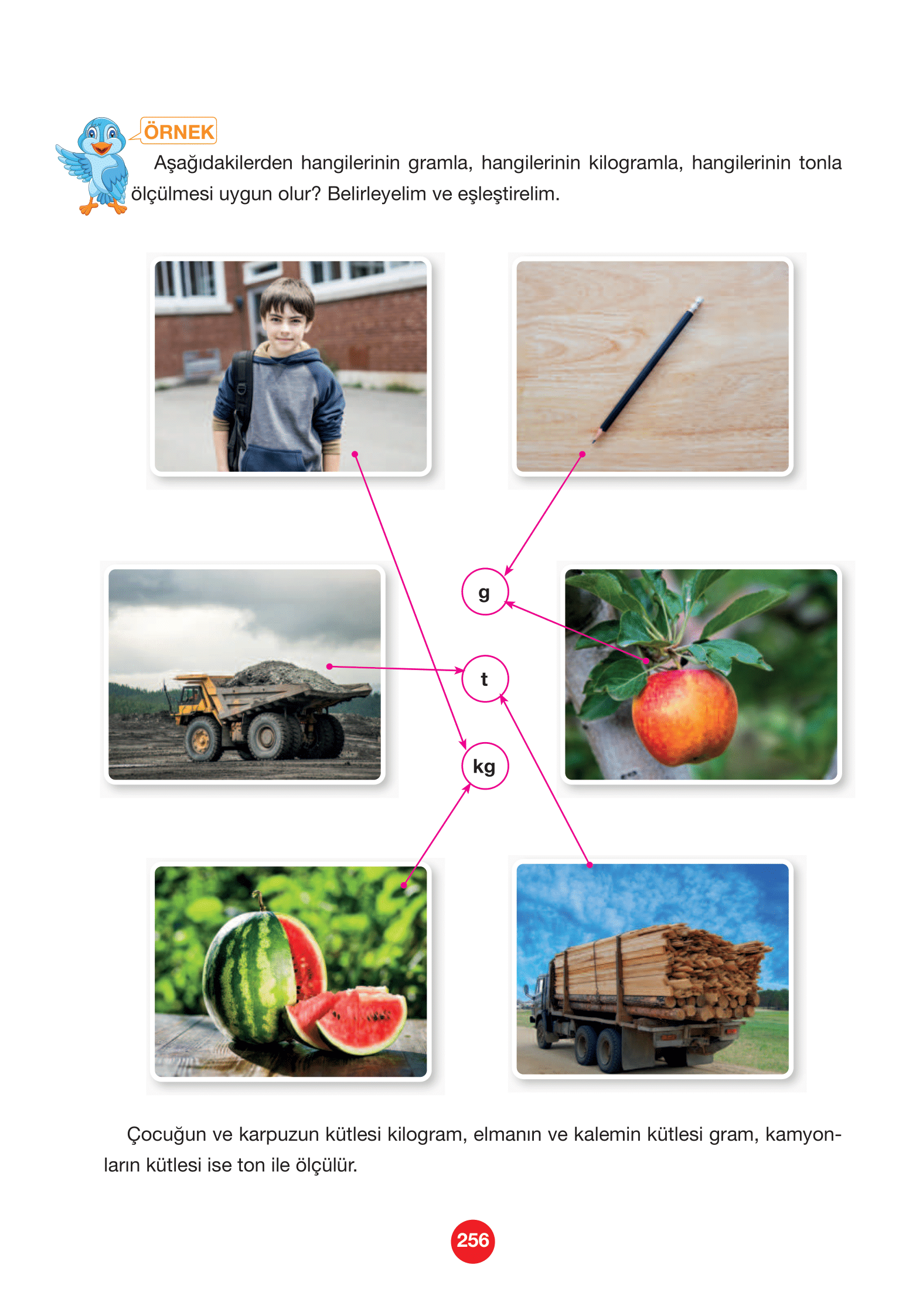 4. Sınıf Pasifik Yayınları Matematik Ders Kitabı Sayfa 256 Cevapları