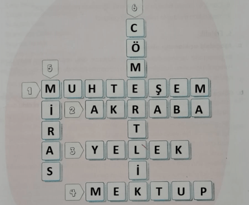 4. Sınıf Tuna Yayınları Türkçe Ders Kitabı Sayfa 17 Cevapları